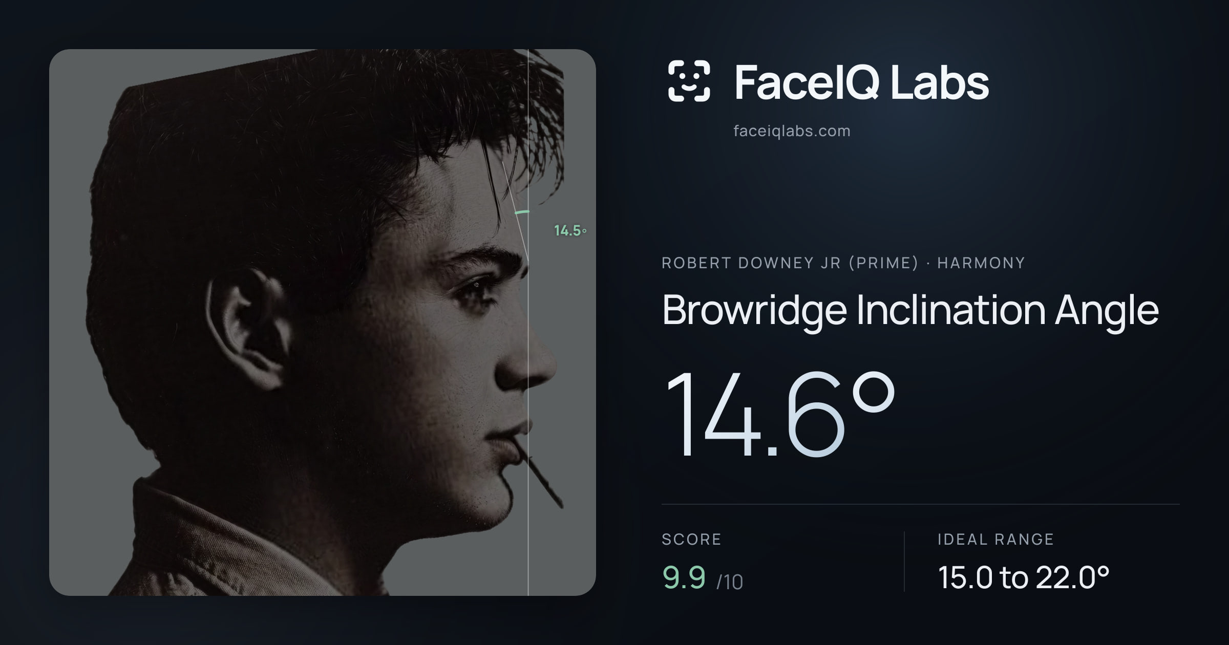 Robert Downey Jr (Prime) Browridge Inclination Angle: 14.6°, drawn on the photo