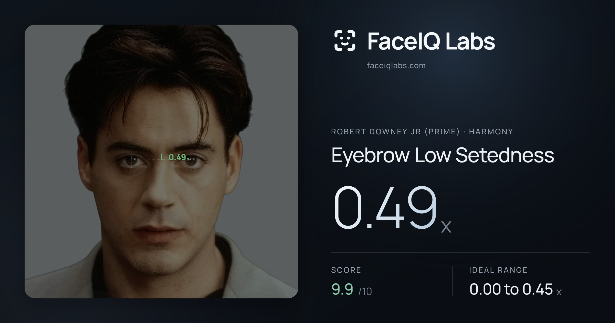 Robert Downey Jr (Prime) Eyebrow Low Setedness: 0.49x, drawn on the photo