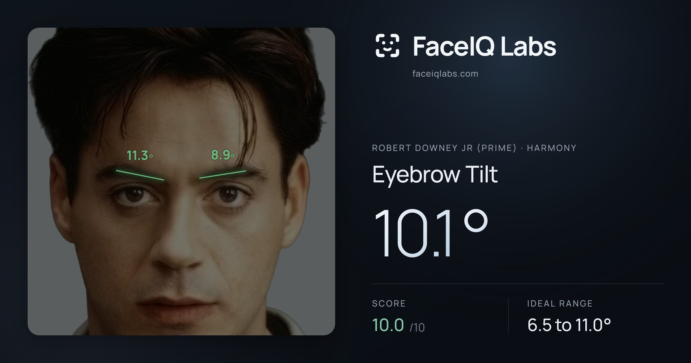 Robert Downey Jr (Prime) Eyebrow Tilt: 10.1°, drawn on the photo