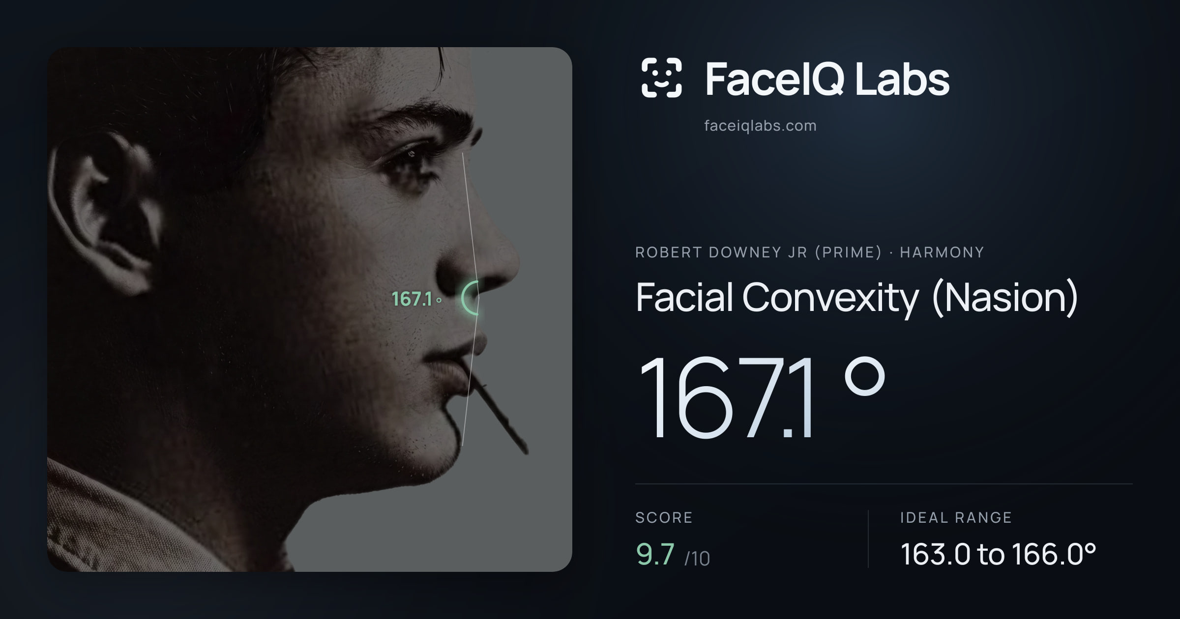 Robert Downey Jr (Prime) Facial Convexity (Nasion): 167.1°, drawn on the photo