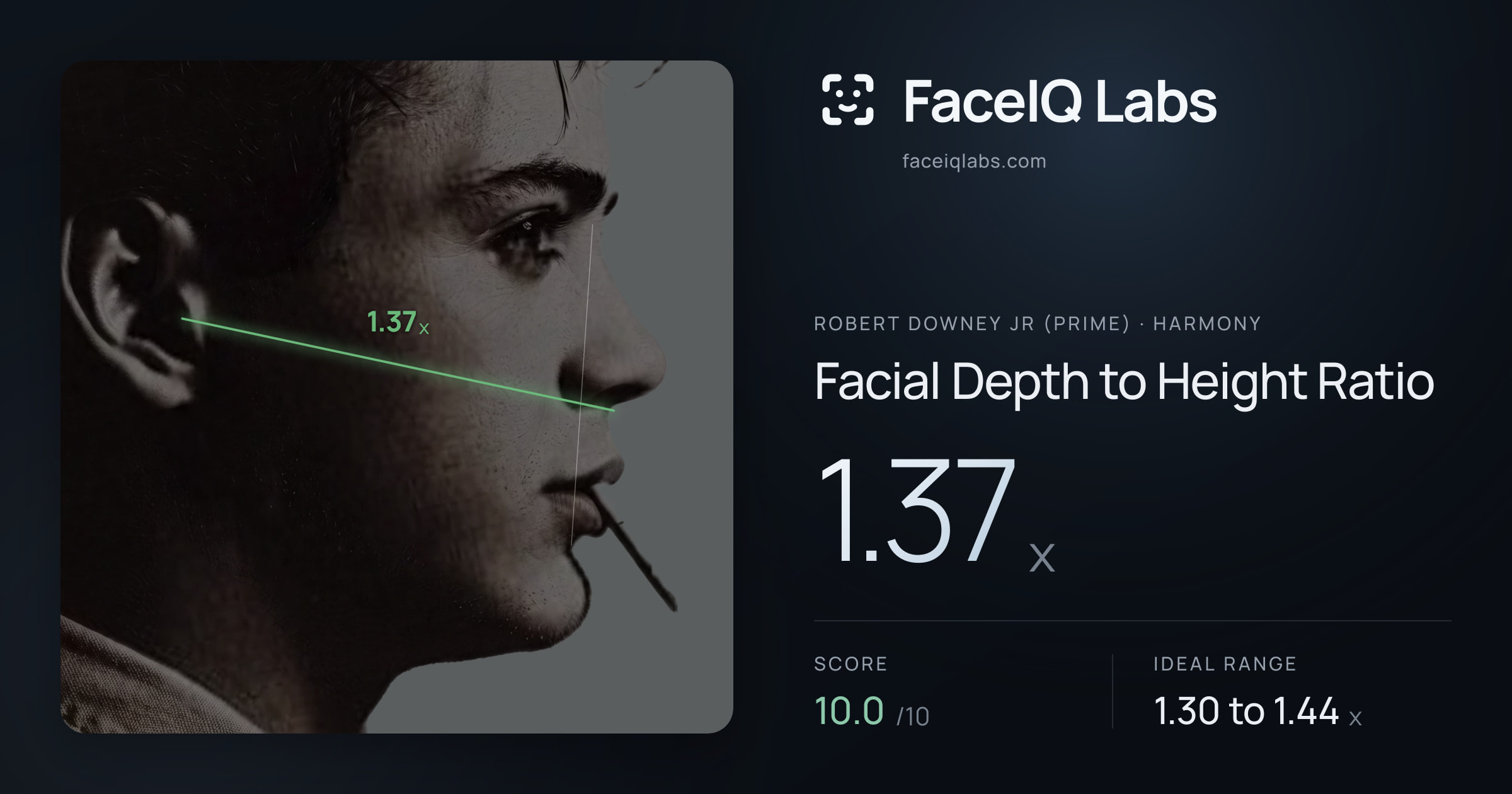 Robert Downey Jr (Prime) Facial Depth to Height Ratio: 1.37x, drawn on the photo