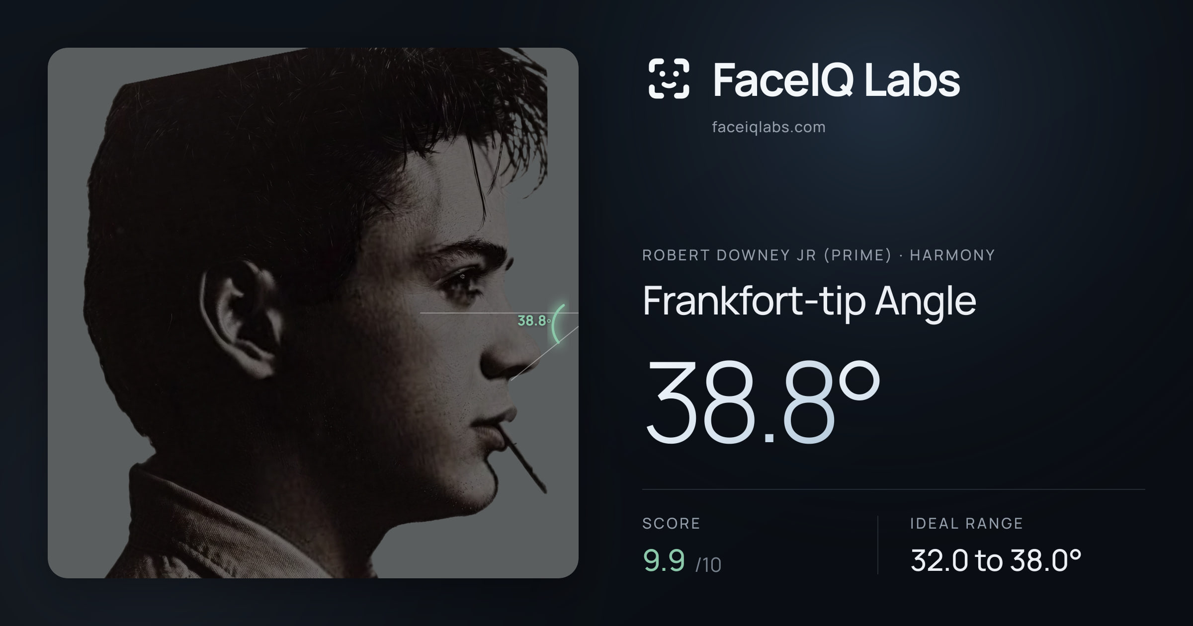 Robert Downey Jr (Prime) Frankfort-tip Angle: 38.8°, drawn on the photo