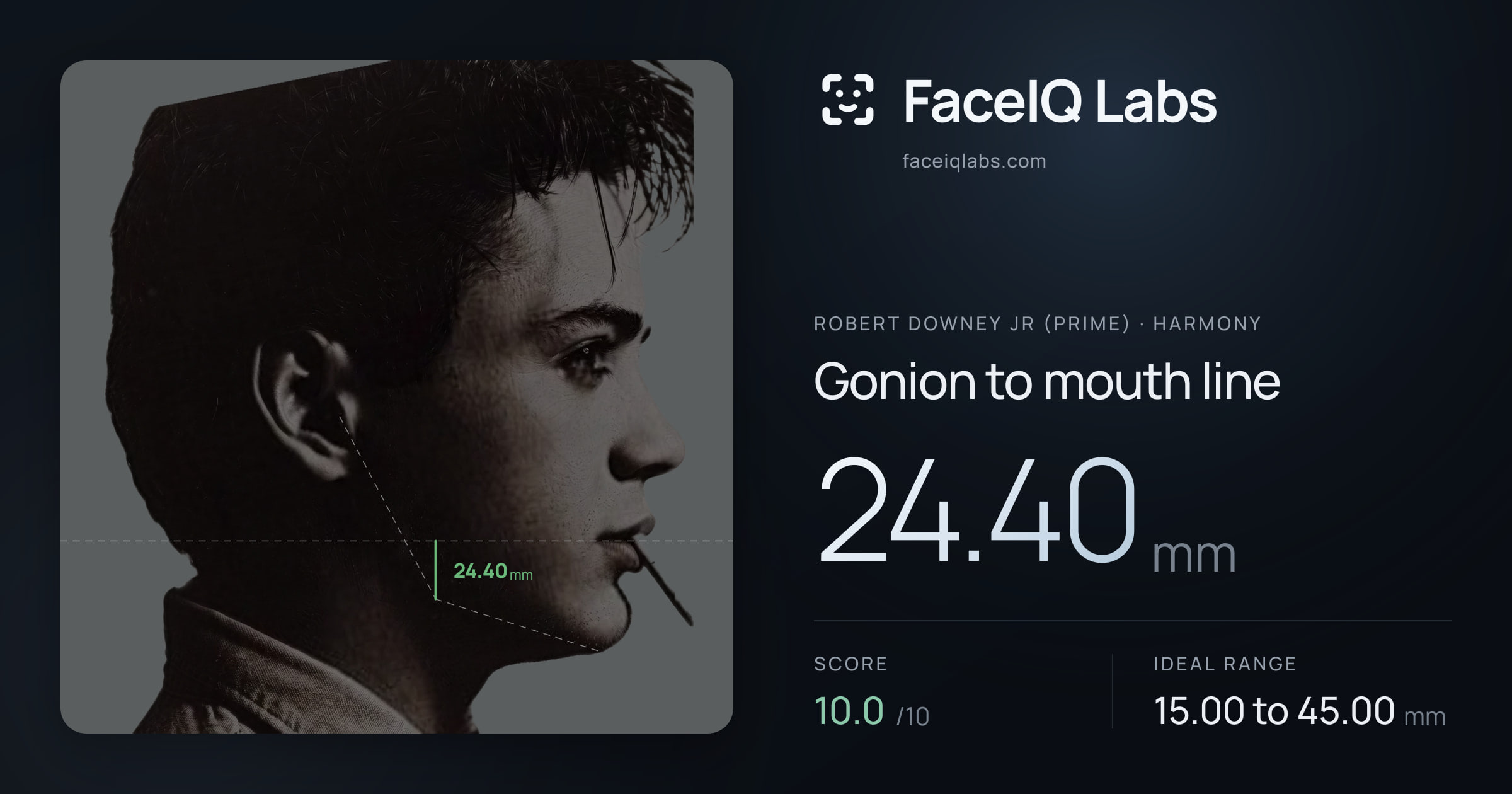Robert Downey Jr (Prime) Gonion to mouth line: 24.40mm, drawn on the photo