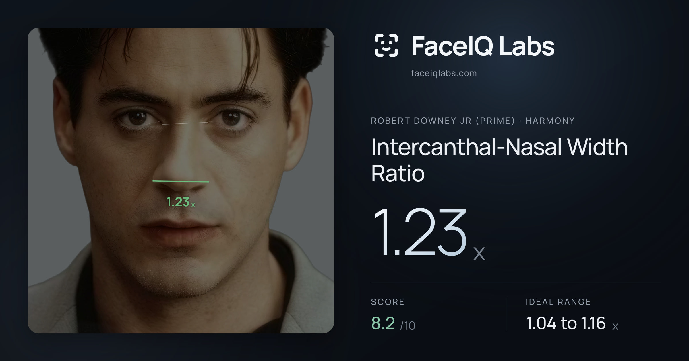 Robert Downey Jr (Prime) Intercanthal-Nasal Width Ratio: 1.23x, drawn on the photo