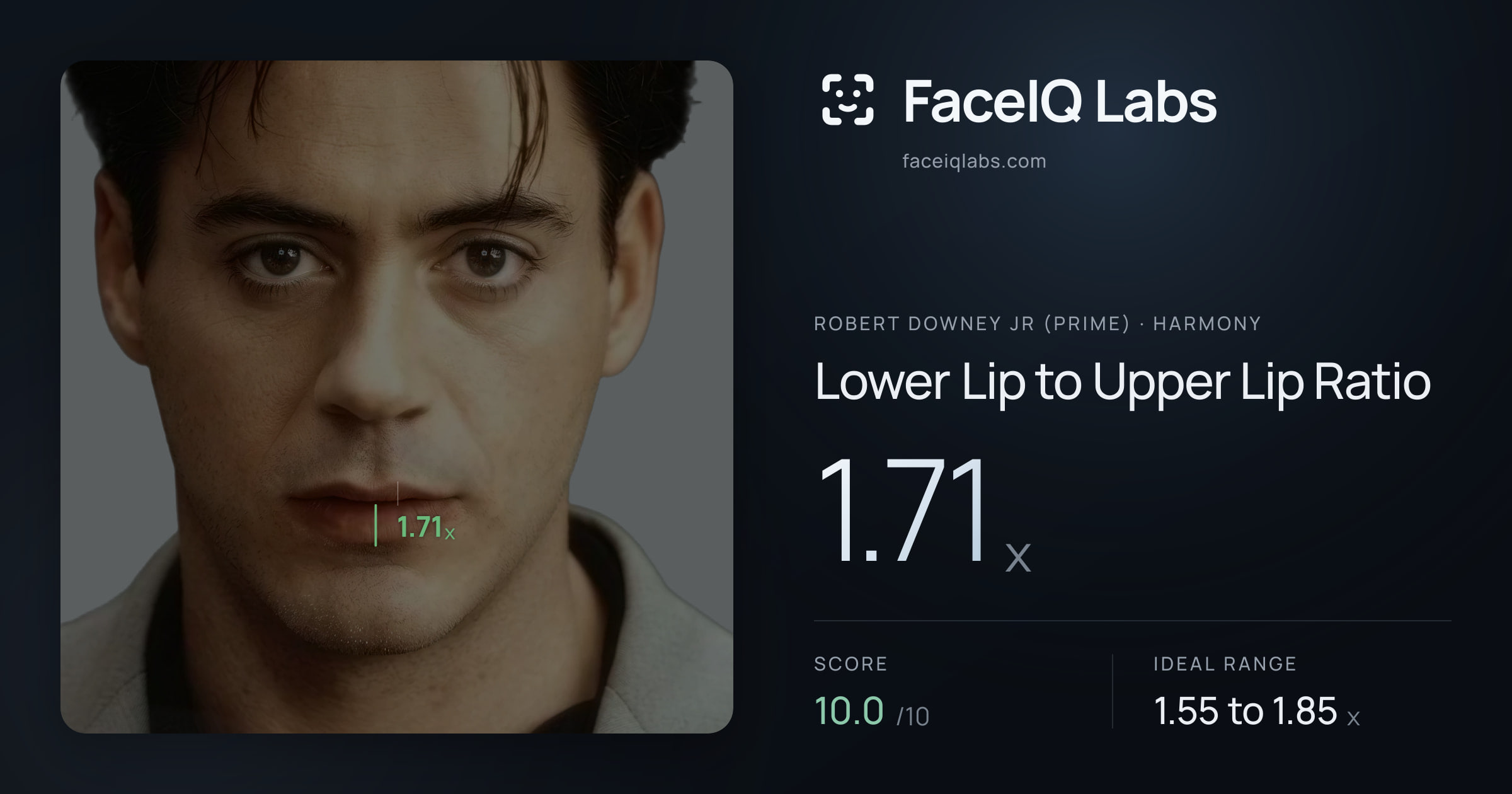 Robert Downey Jr (Prime) Lower Lip to Upper Lip Ratio: 1.71x, drawn on the photo