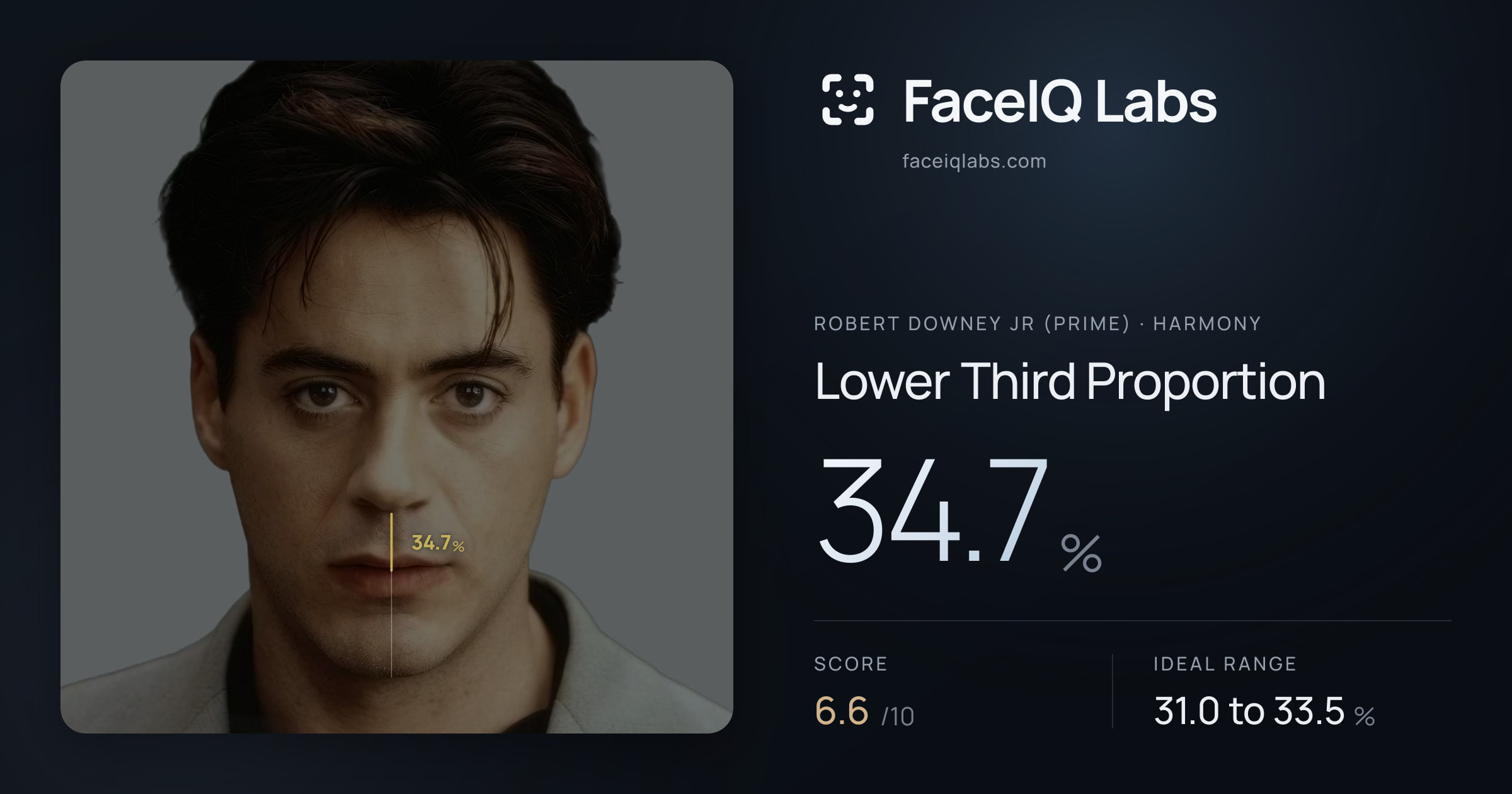 Robert Downey Jr (Prime) Lower Third Proportion: 34.7%, drawn on the photo