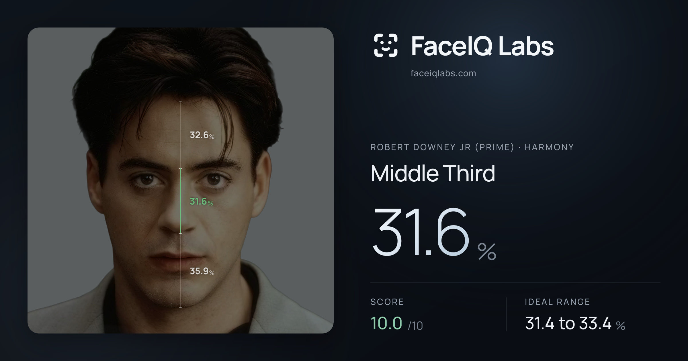 Robert Downey Jr (Prime) Middle Third: 31.6%, drawn on the photo