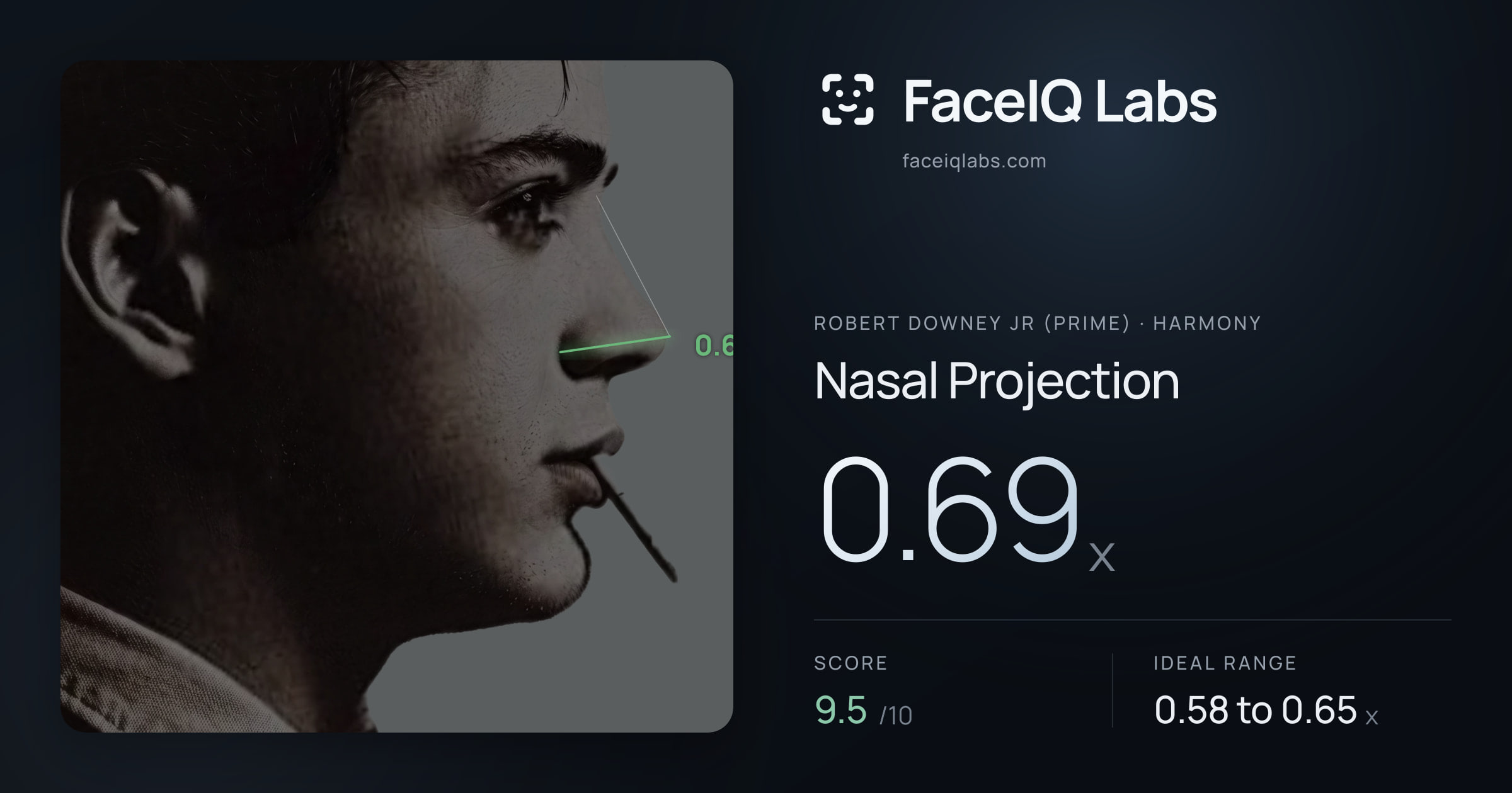 Robert Downey Jr (Prime) Nasal Projection: 0.69x, drawn on the photo