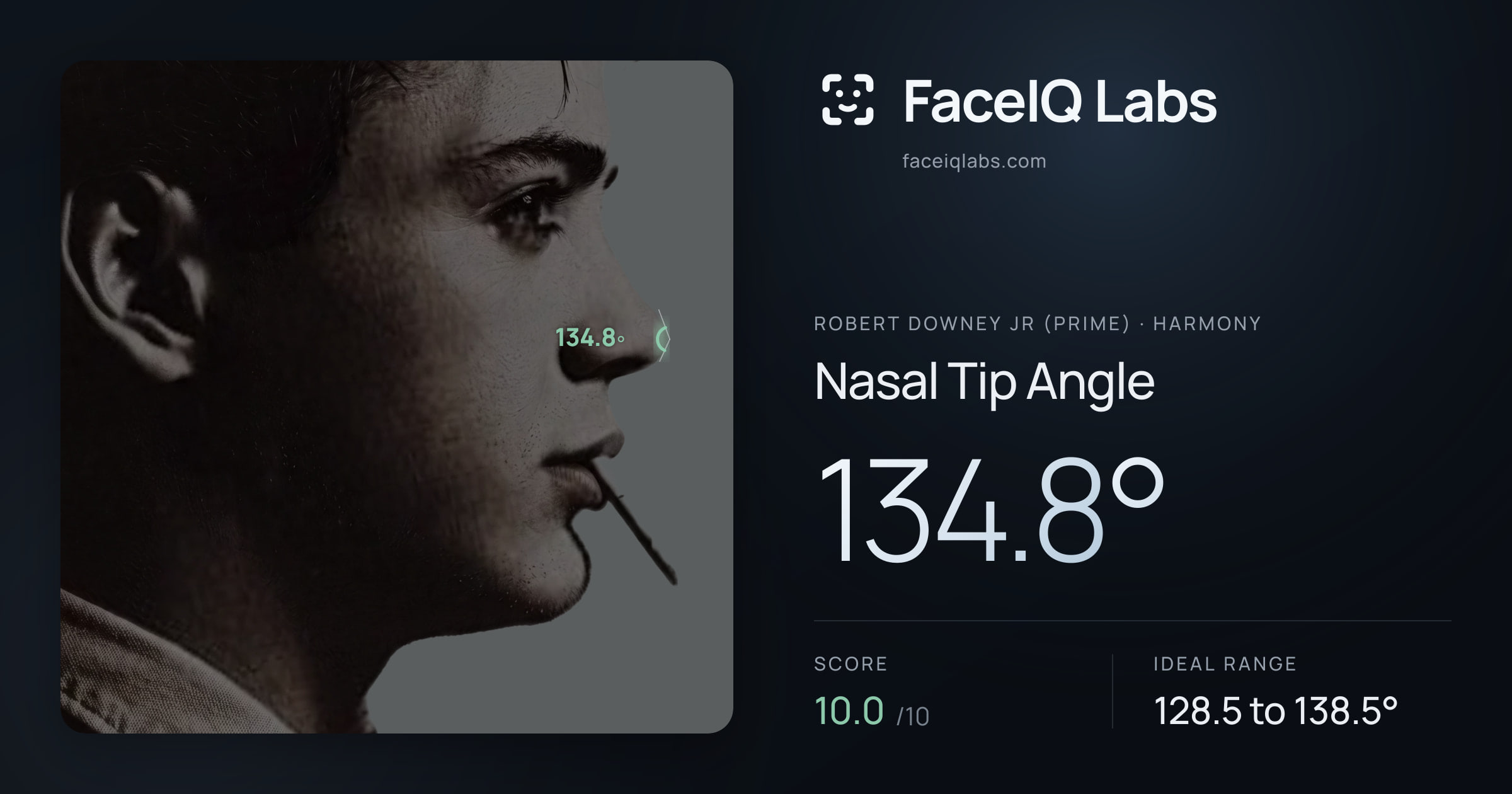 Robert Downey Jr (Prime) Nasal Tip Angle: 134.8°, drawn on the photo