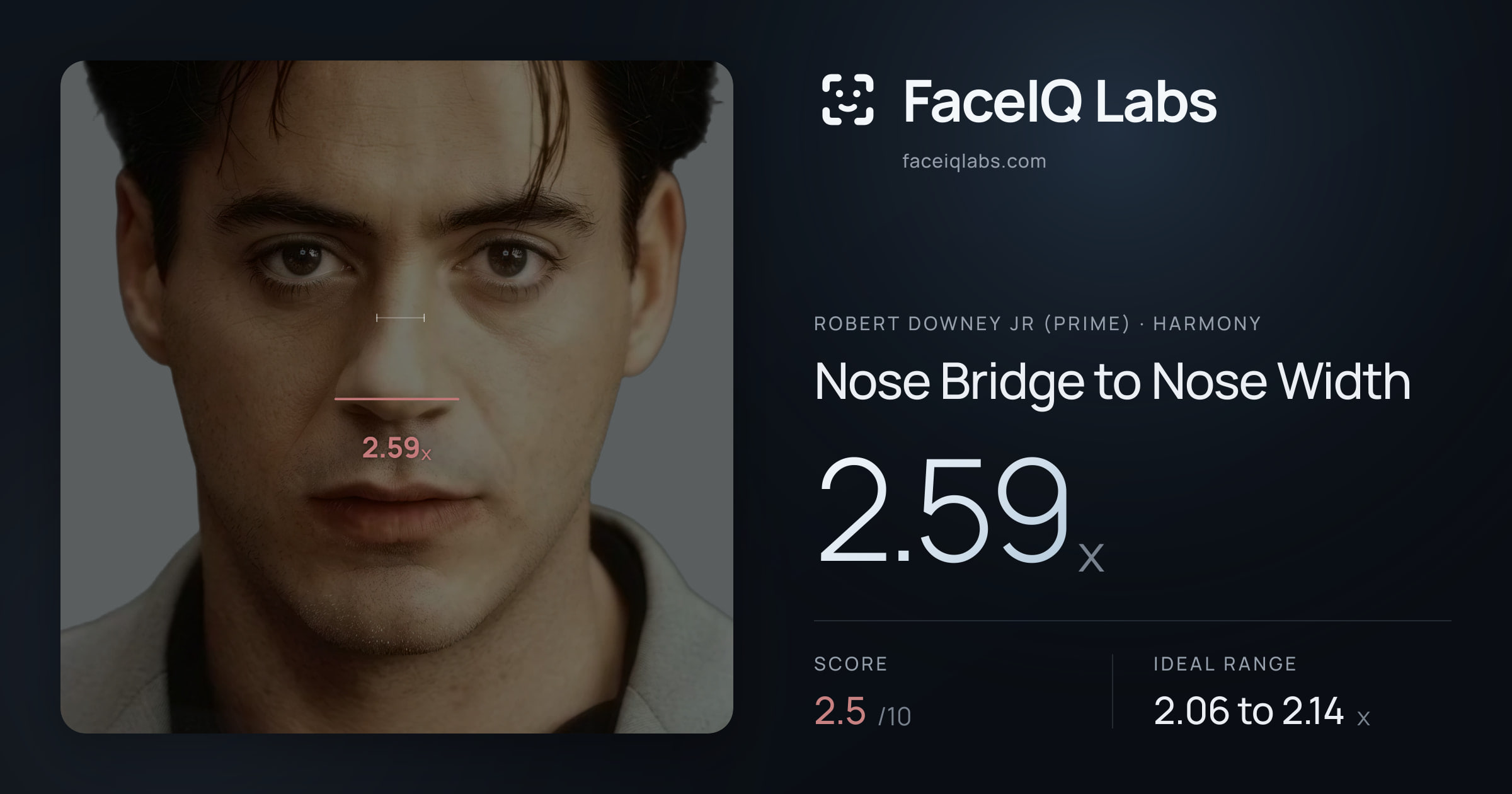 Robert Downey Jr (Prime) Nose Bridge to Nose Width: 2.59x, drawn on the photo
