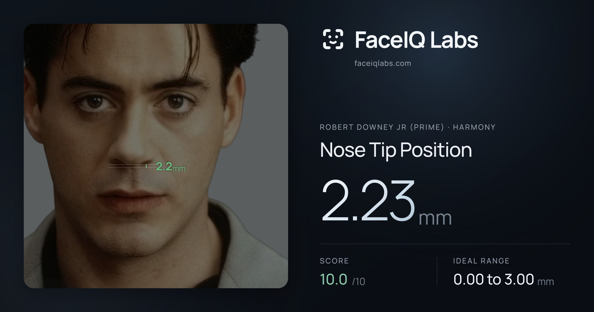 Robert Downey Jr (Prime) Nose Tip Position: 2.23mm, drawn on the photo