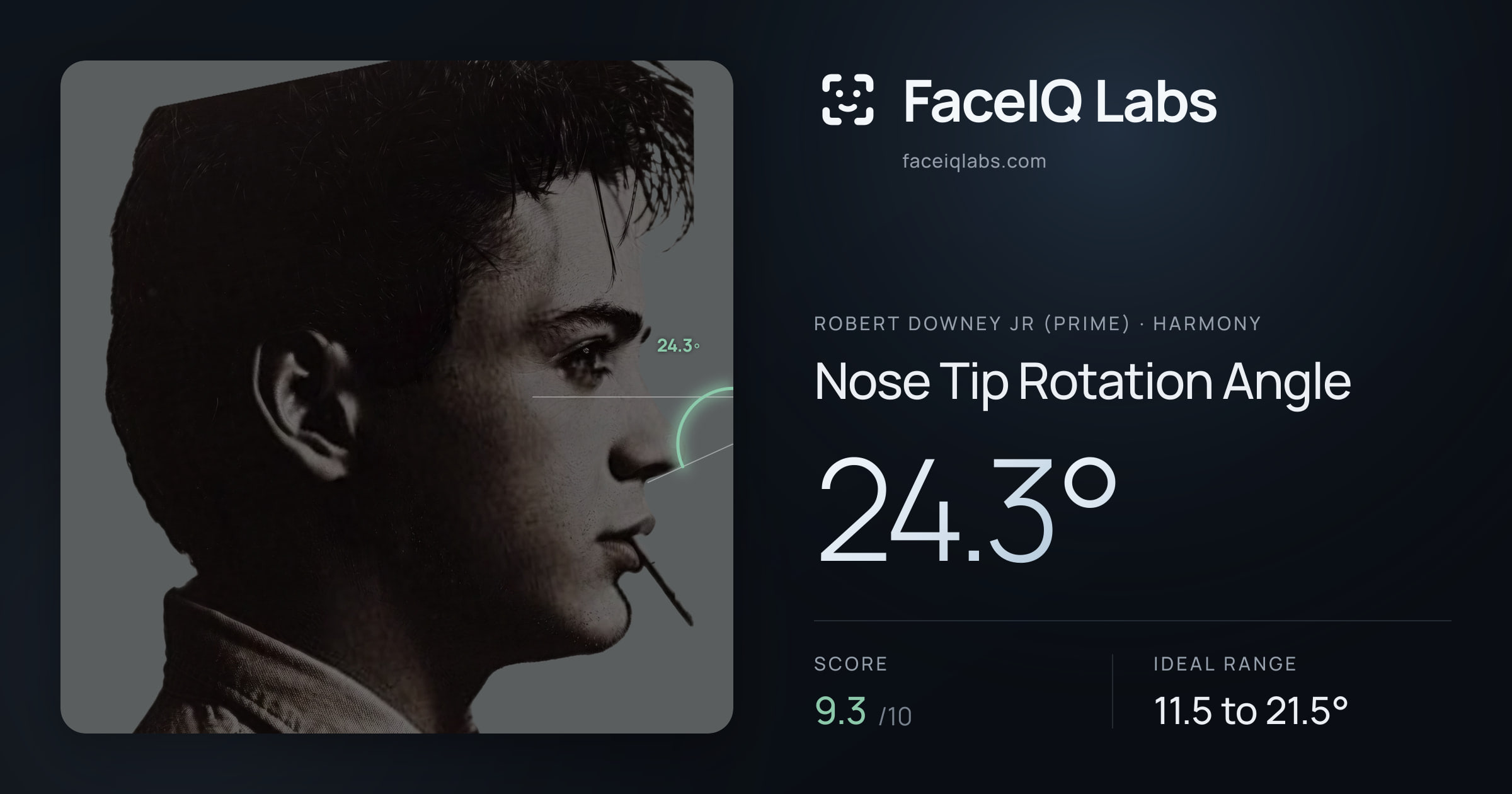 Robert Downey Jr (Prime) Nose Tip Rotation Angle: 24.3°, drawn on the photo