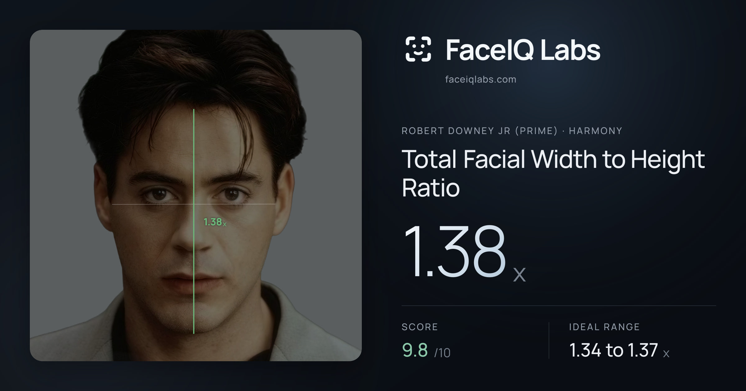 Robert Downey Jr (Prime) Total Facial Width to Height Ratio: 1.38x, drawn on the photo