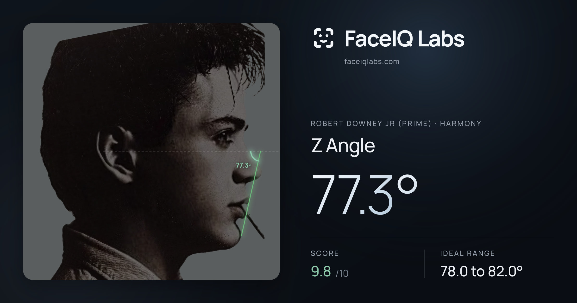 Robert Downey Jr (Prime) Z Angle: 77.3°, drawn on the photo