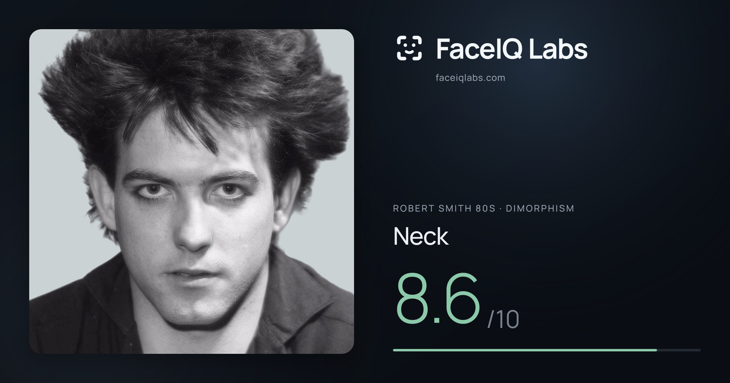 Robert Smith 80s Neck: 8.6/10, drawn on the photo