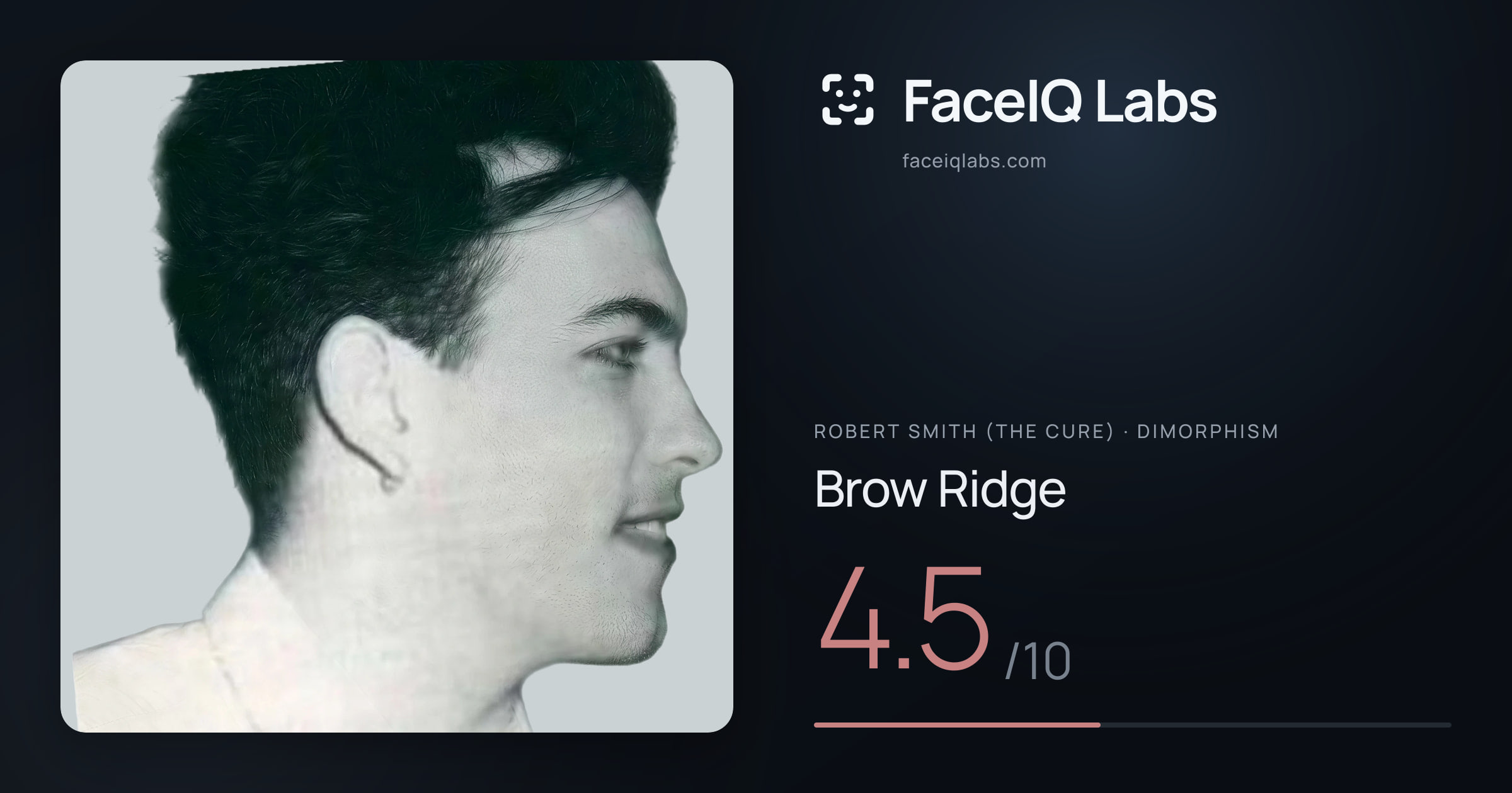 Robert Smith (The cure) Brow Ridge: 4.5/10, drawn on the photo
