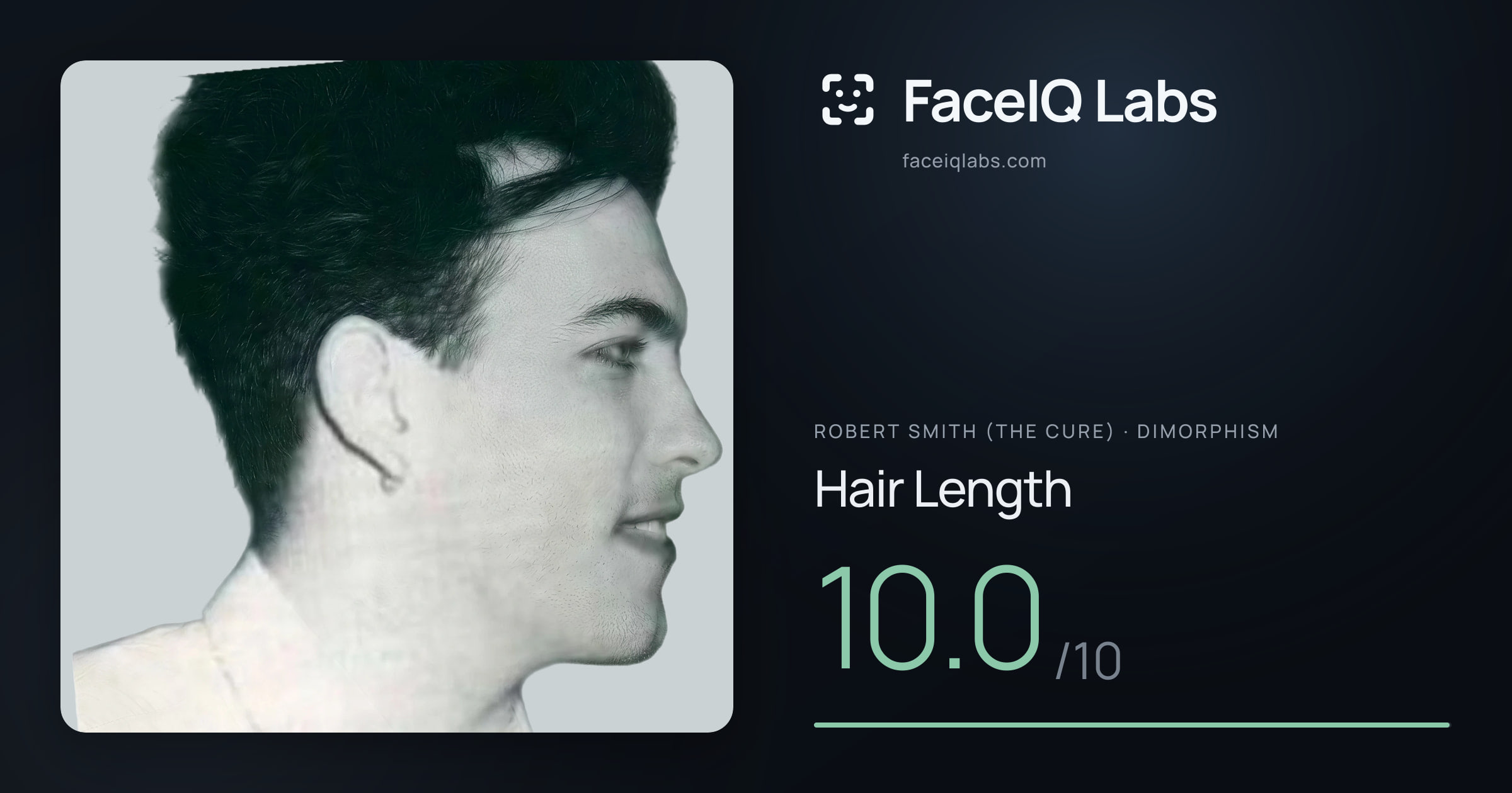 Robert Smith (The cure) Hair Length: 10.0/10, drawn on the photo