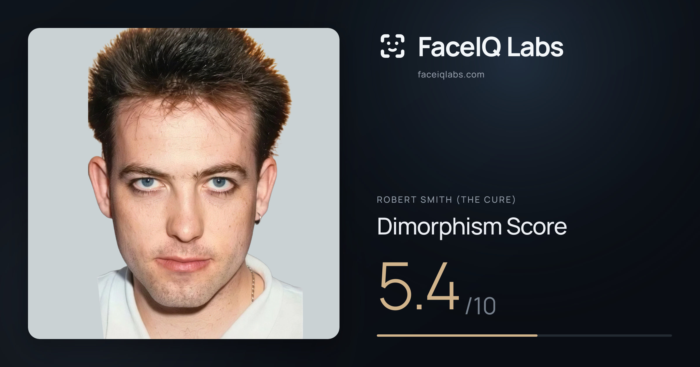 Robert Smith (The cure) Dimorphism: 5.4/10, with each assessment drawn on the photo