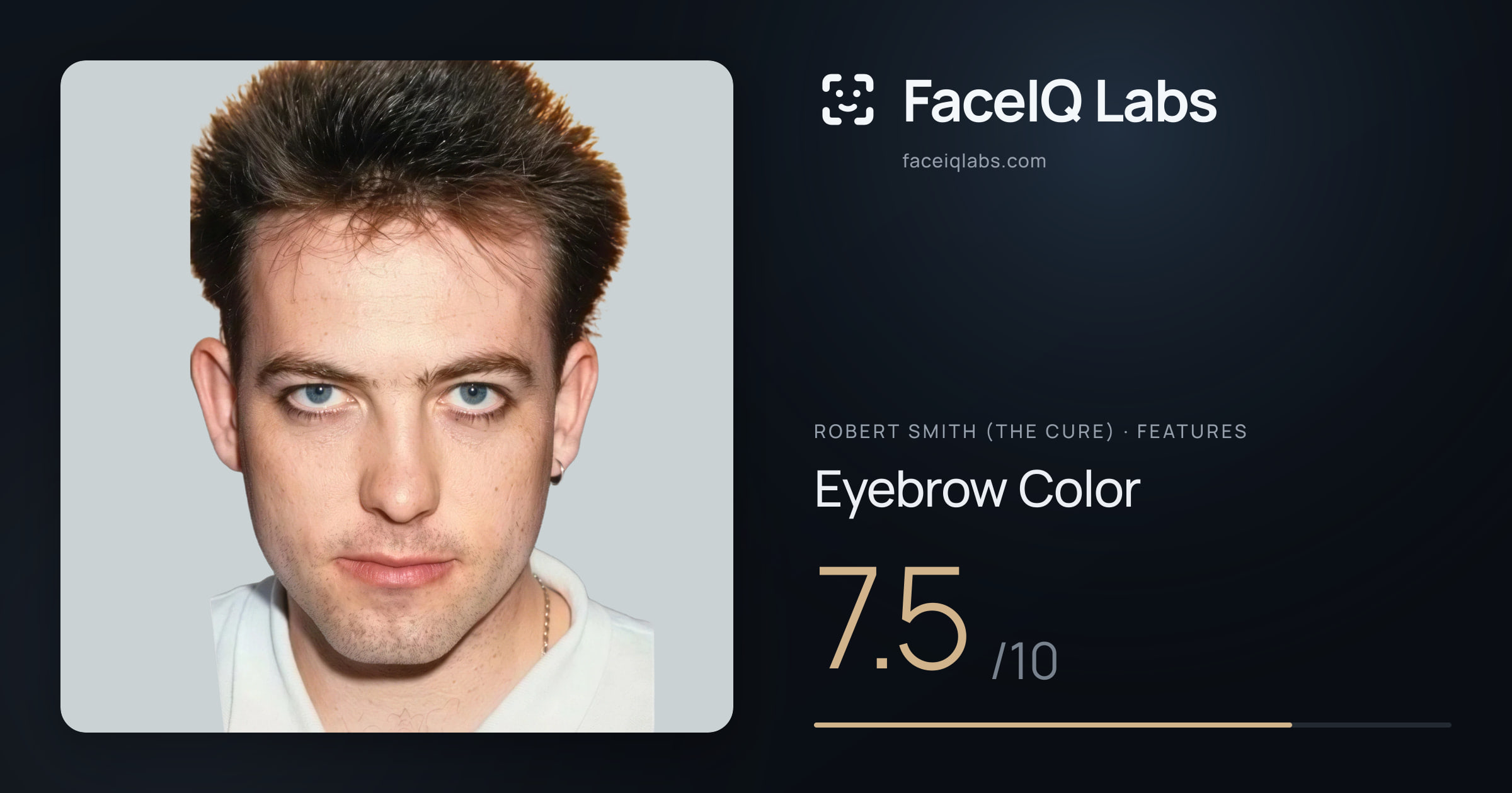 Robert Smith (The cure) Eyebrow Color: 7.5/10, drawn on the photo