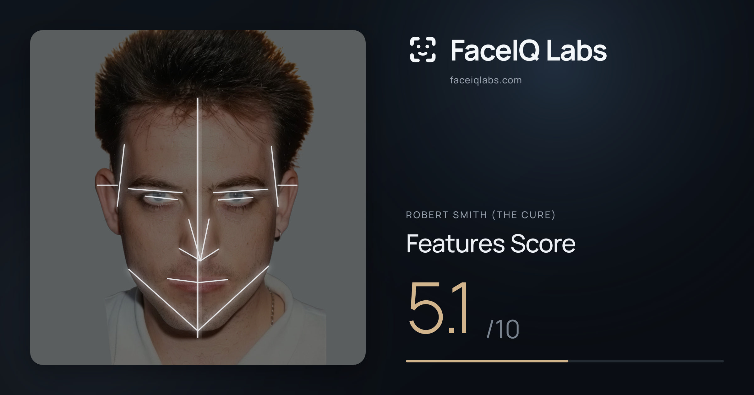 Robert Smith (The cure) Features: 5.1/10, with each assessment drawn on the photo
