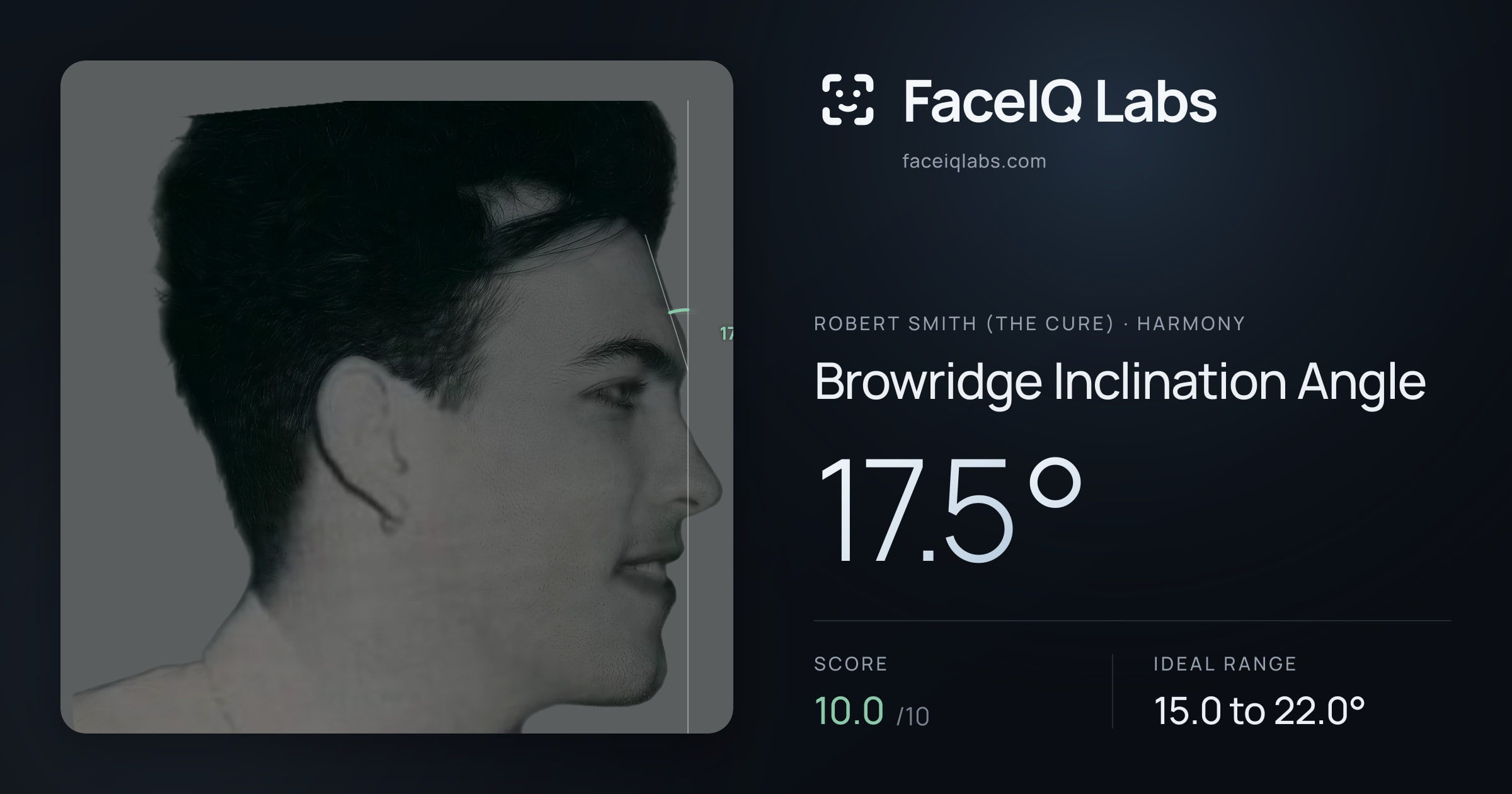 Robert Smith (The cure) Browridge Inclination Angle: 17.5°, drawn on the photo