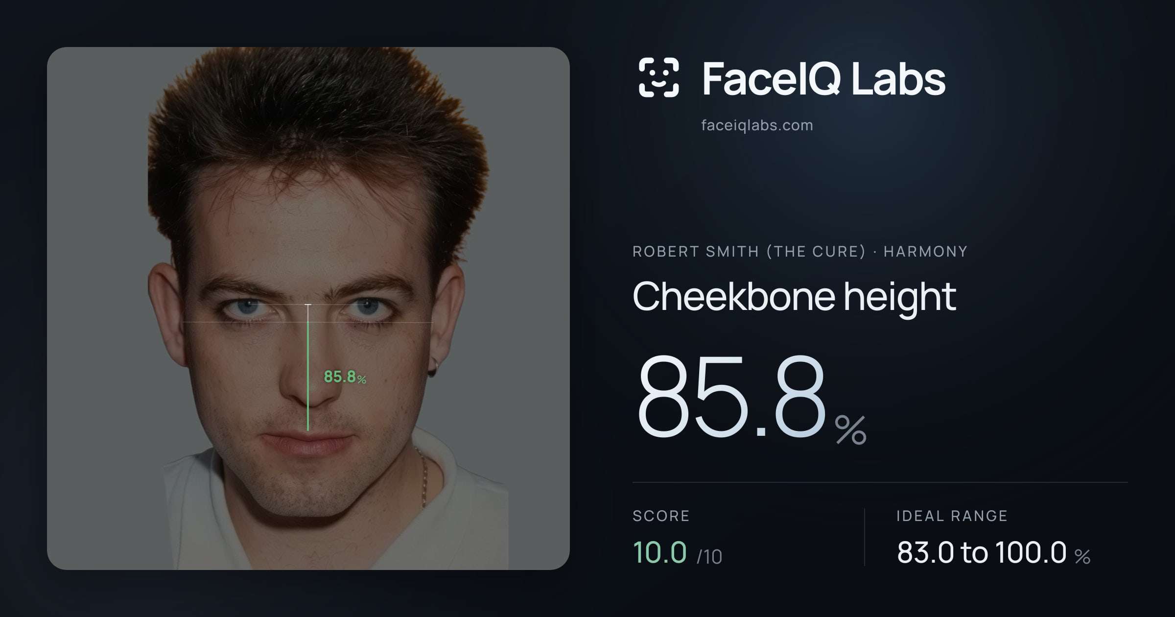 Robert Smith (The cure) Cheekbone height: 85.8%, drawn on the photo