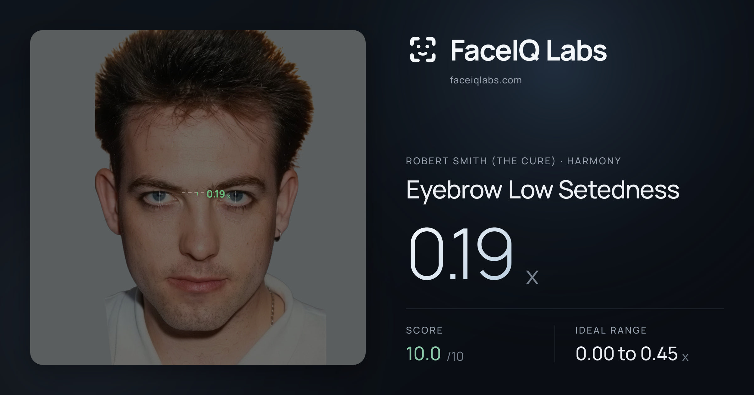 Robert Smith (The cure) Eyebrow Low Setedness: 0.19x, drawn on the photo