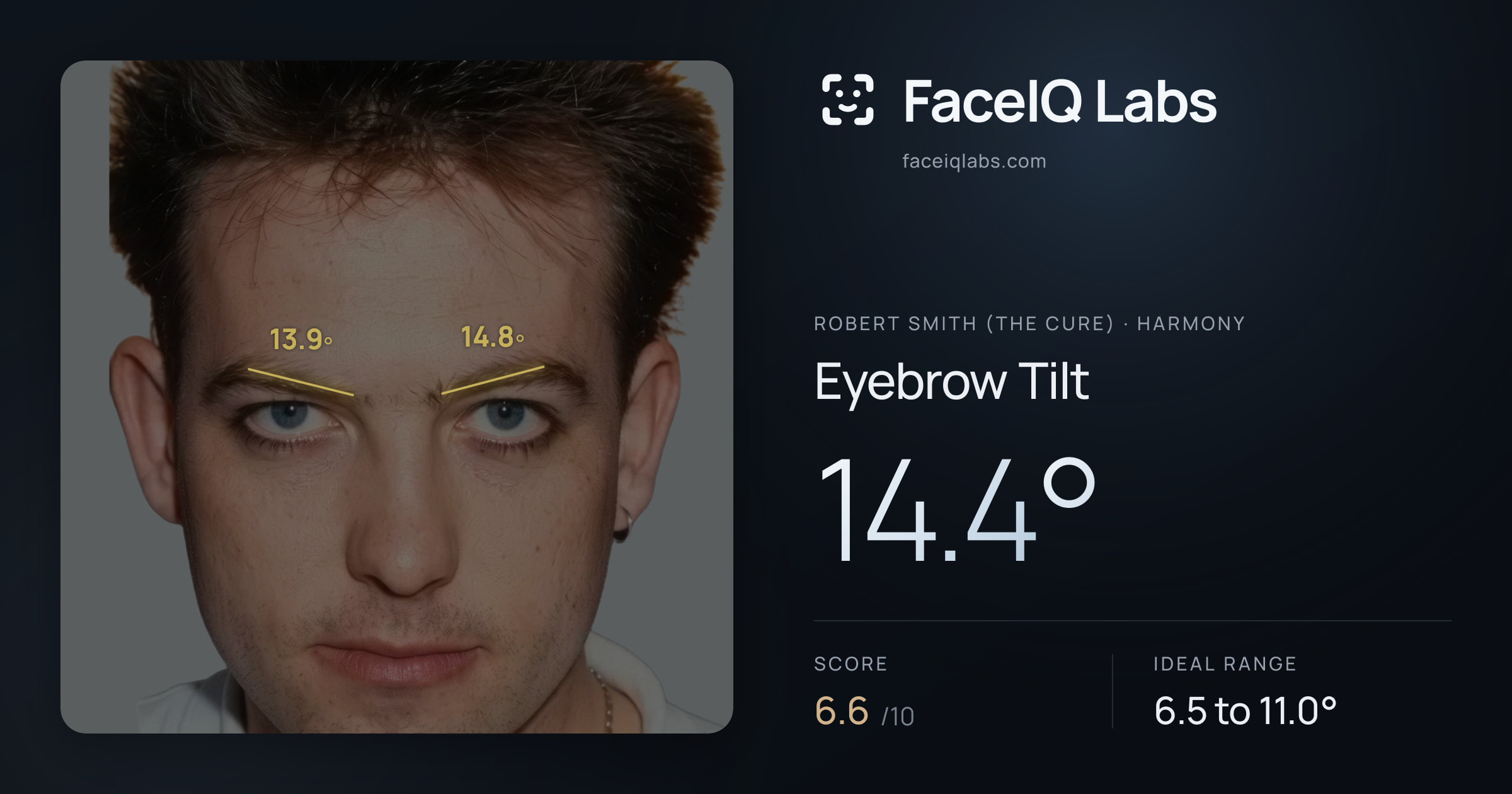 Robert Smith (The cure) Eyebrow Tilt: 14.4°, drawn on the photo