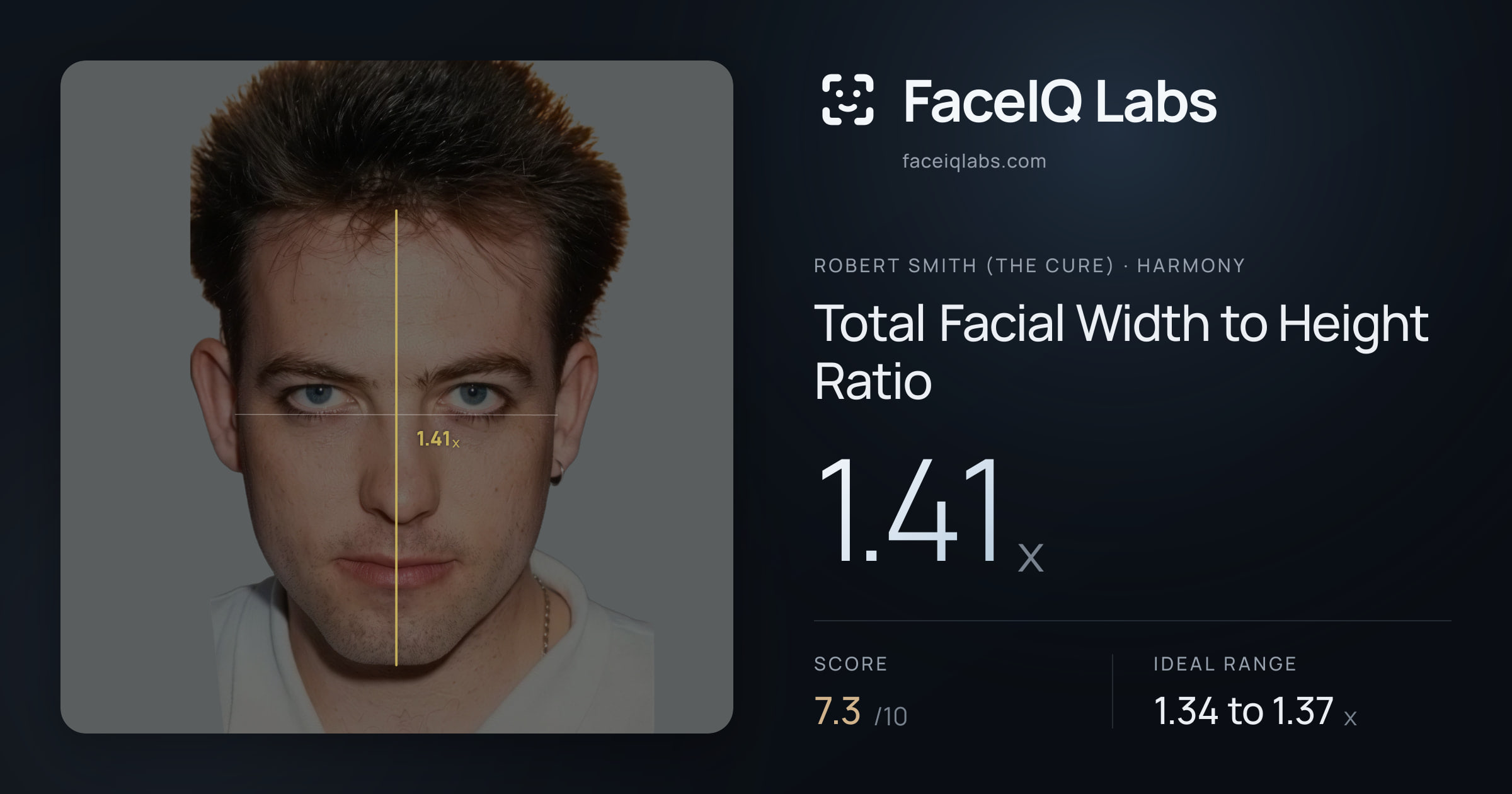 Robert Smith (The cure) Total Facial Width to Height Ratio: 1.41x, drawn on the photo
