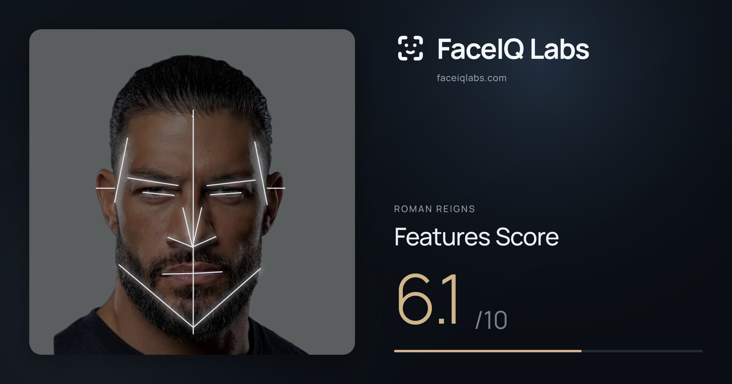 Roman Reigns Features: 6.1/10, with each assessment drawn on the photo