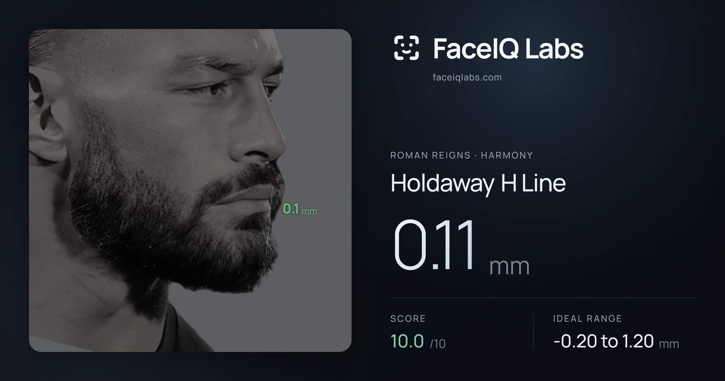 Roman Reigns Holdaway H Line: 0.11mm, drawn on the photo