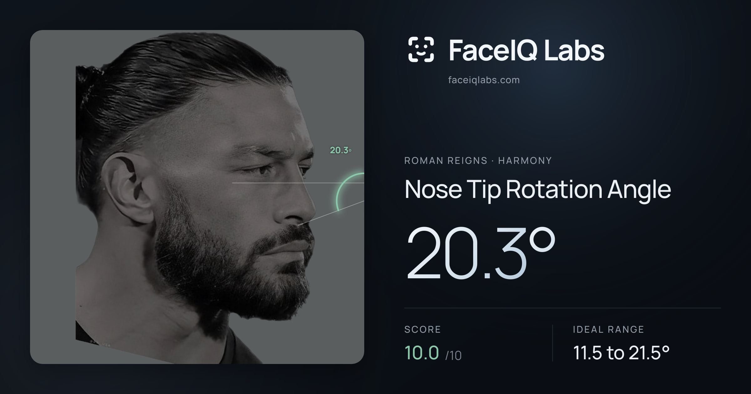 Roman Reigns Nose Tip Rotation Angle: 20.3°, drawn on the photo