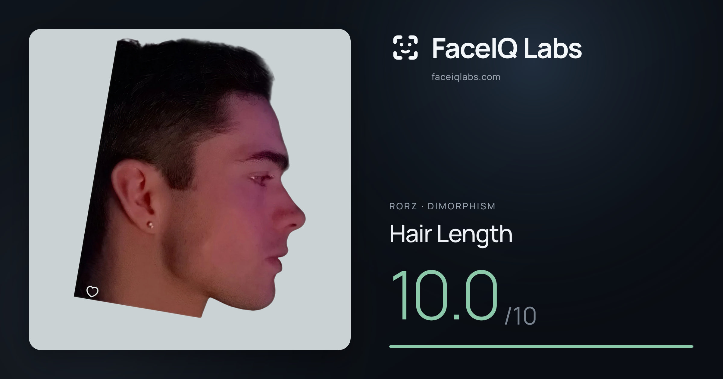 Rorz Hair Length: 10.0/10, drawn on the photo