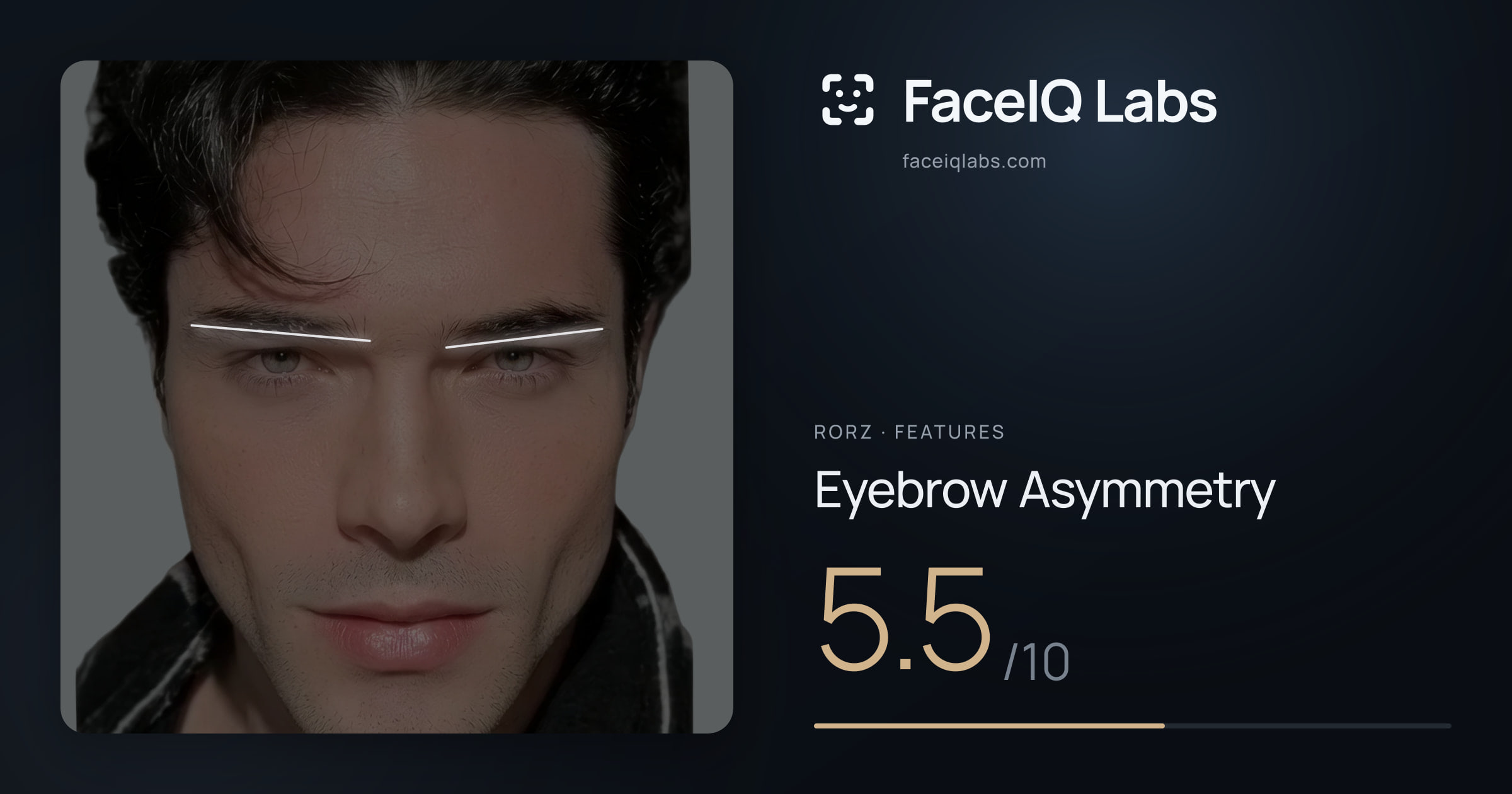 Rorz Eyebrow Asymmetry: 5.5/10, drawn on the photo