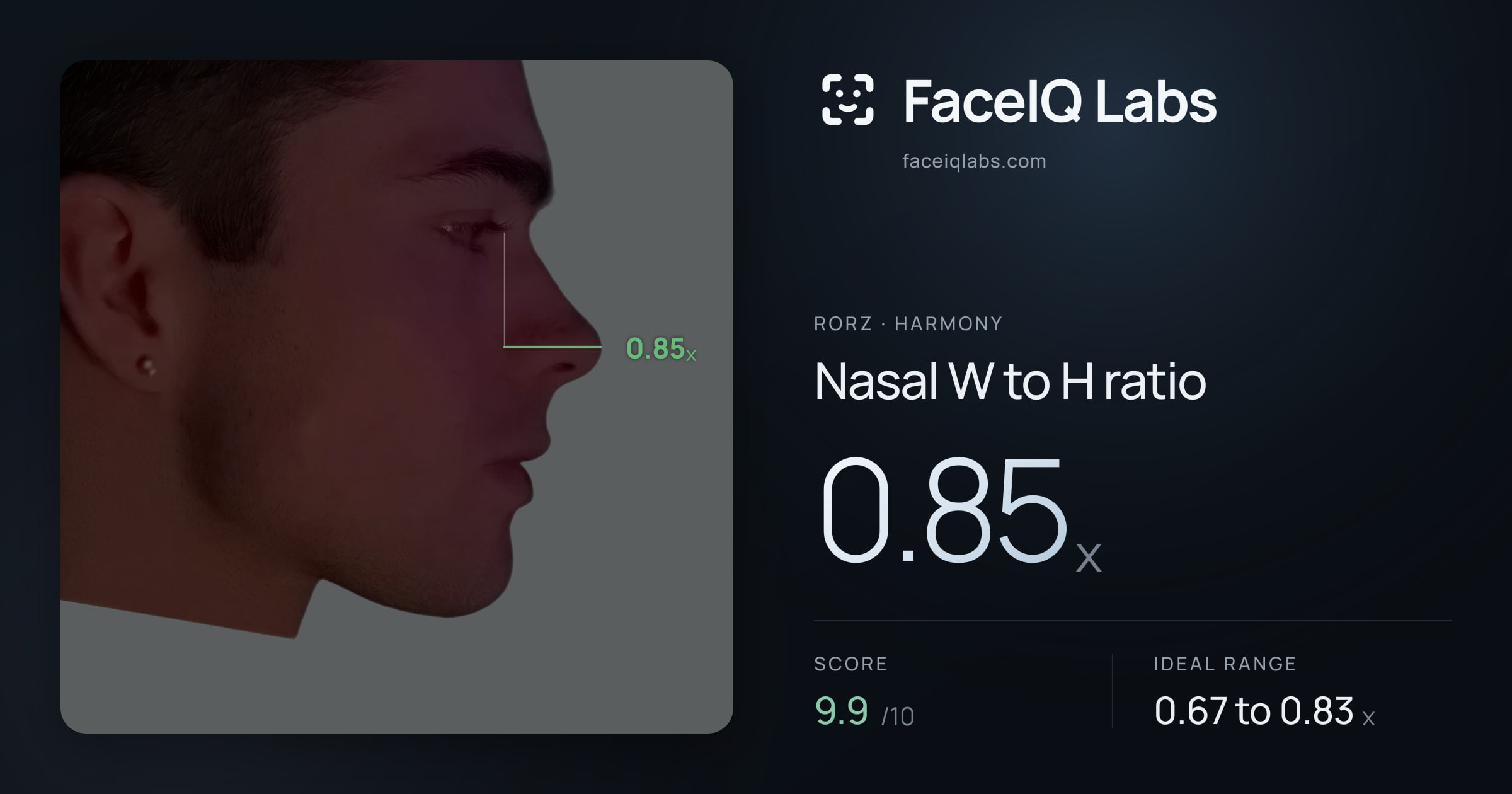 Rorz Nasal W to H ratio: 0.85x, drawn on the photo