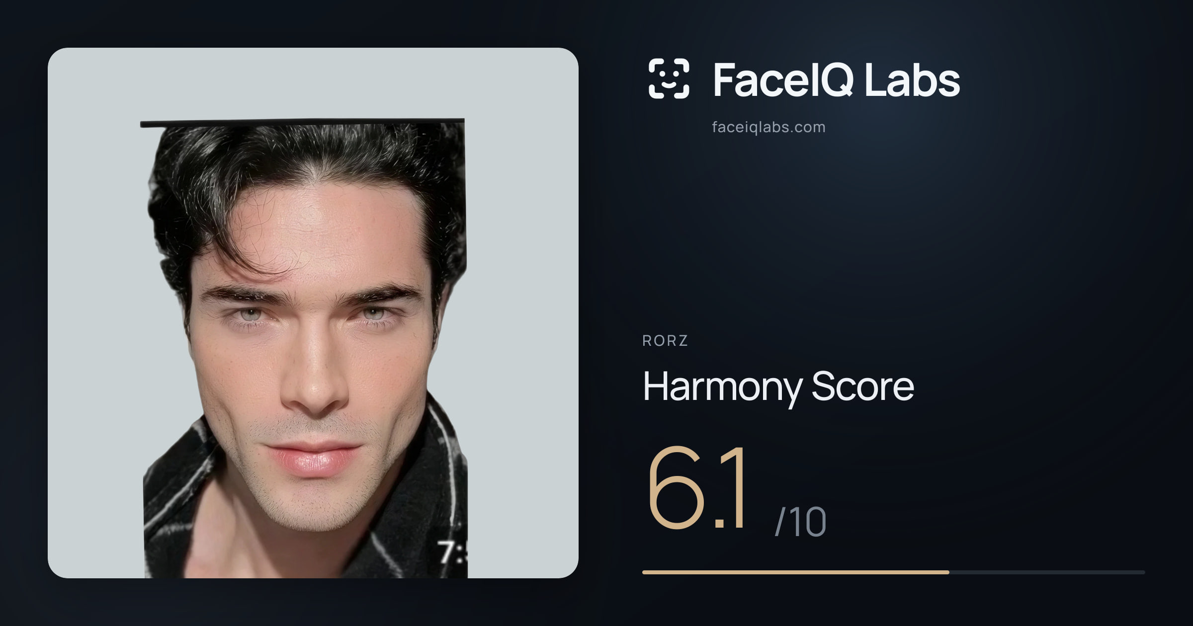 Rorz Harmony: 6.1/10, with each ratio's score