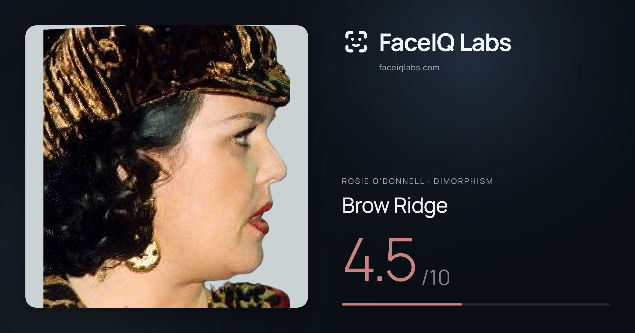 Rosie O'Donnell Brow Ridge: 4.5/10, drawn on the photo
