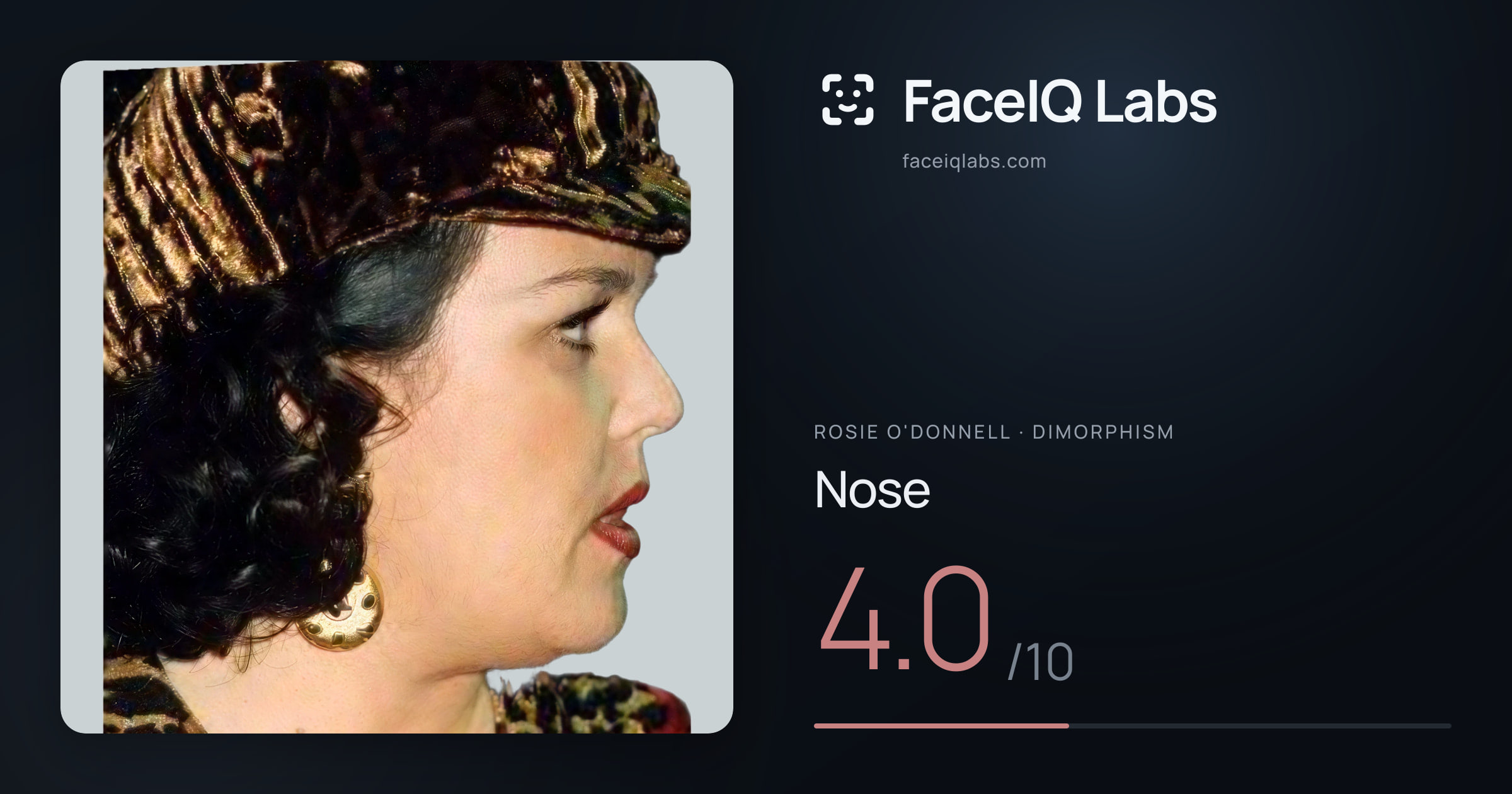 Rosie O'Donnell Nose: 4.0/10, drawn on the photo