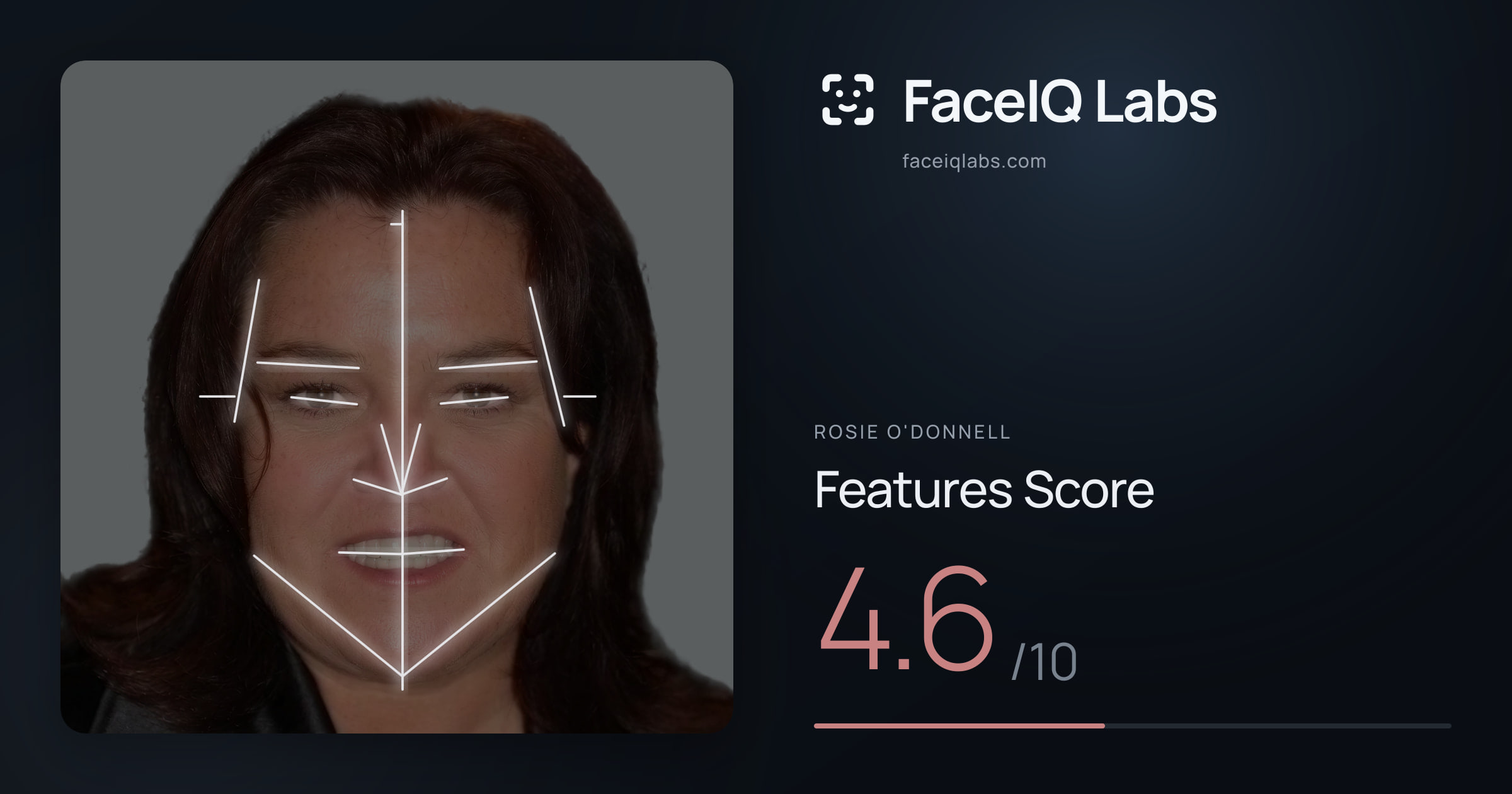 Rosie O'Donnell Features: 4.6/10, with each assessment drawn on the photo