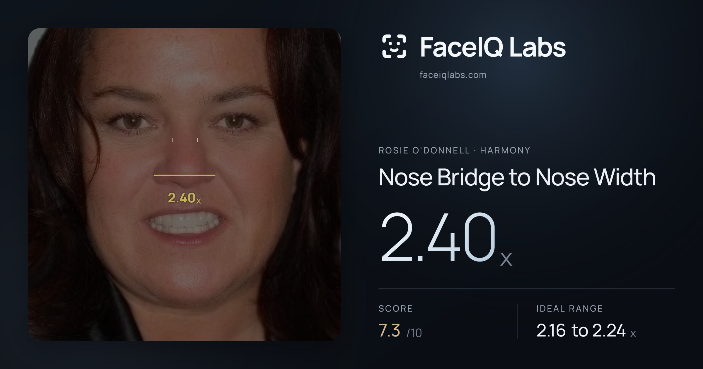 Rosie O'Donnell Nose Bridge to Nose Width: 2.40x, drawn on the photo