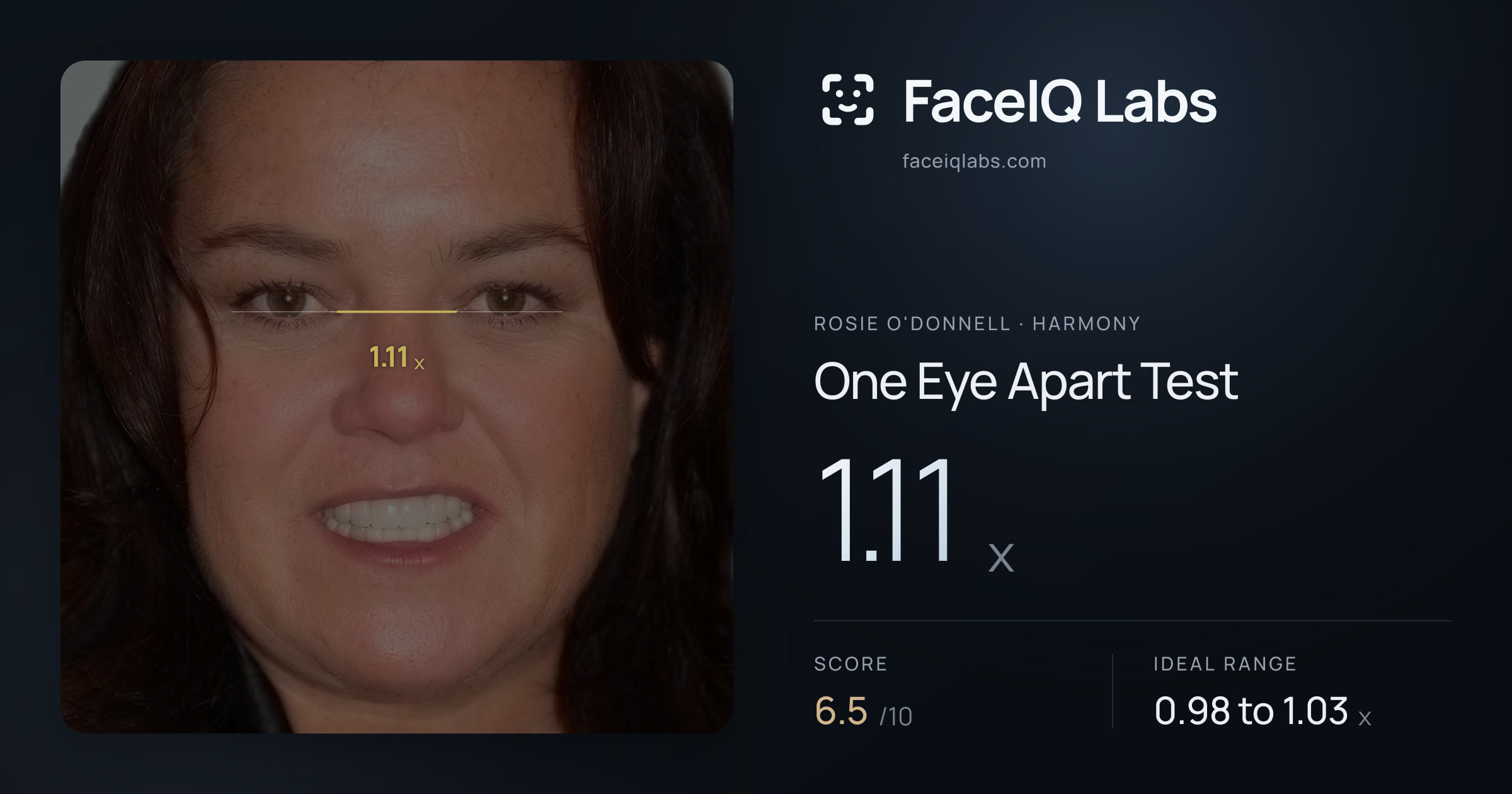 Rosie O'Donnell One Eye Apart Test: 1.11x, drawn on the photo