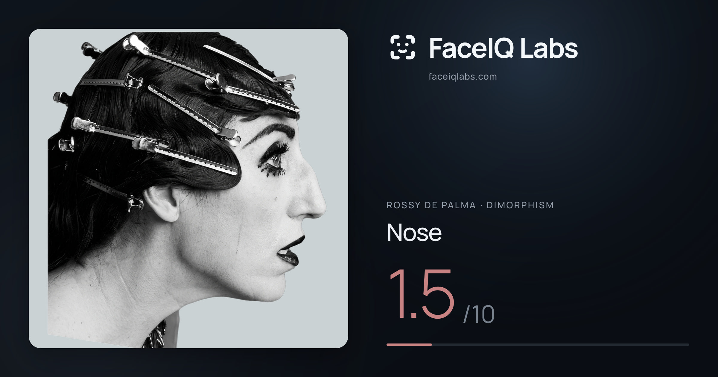Rossy De Palma Nose: 1.5/10, drawn on the photo