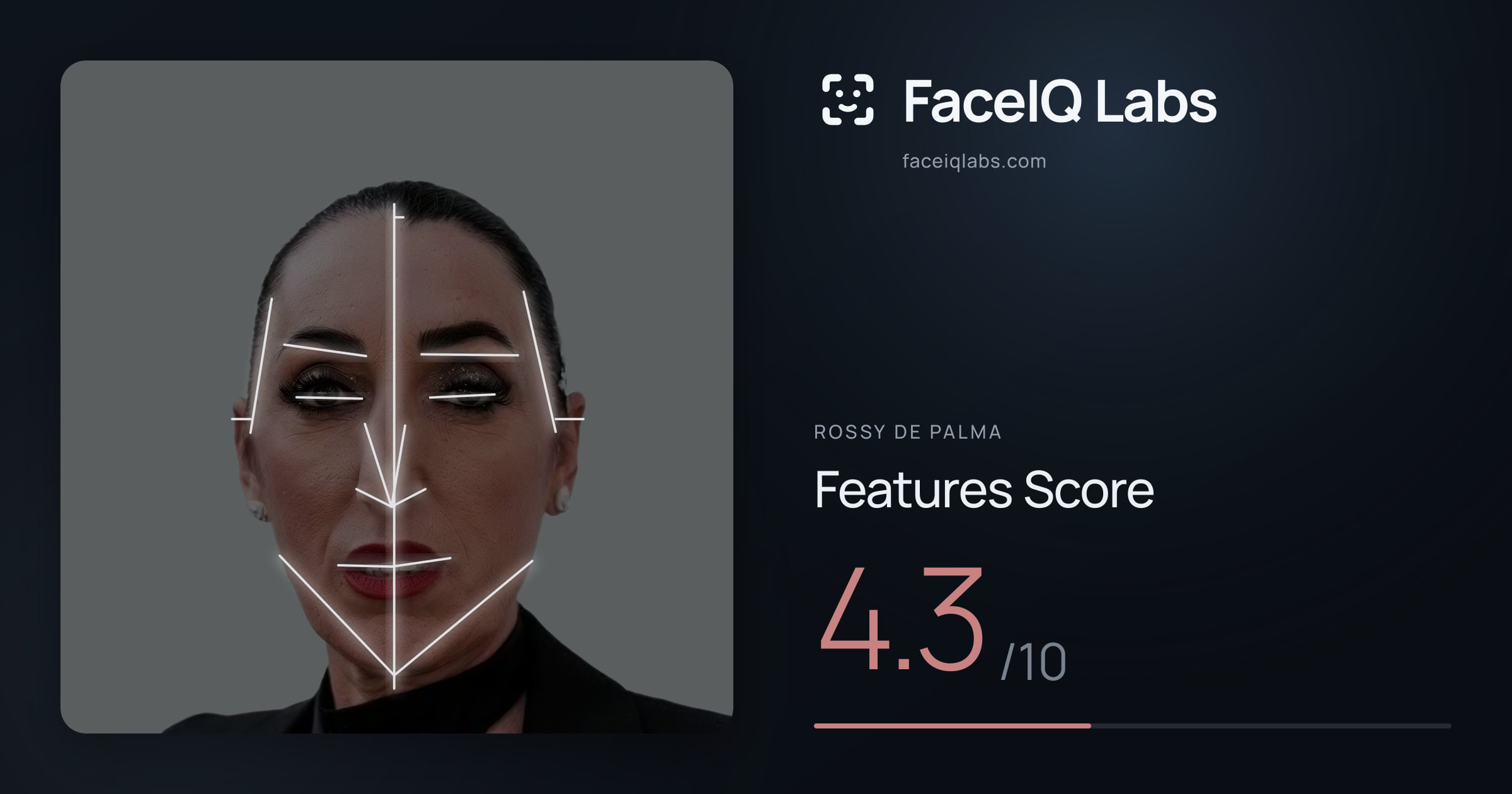 Rossy De Palma Features: 4.3/10, with each assessment drawn on the photo