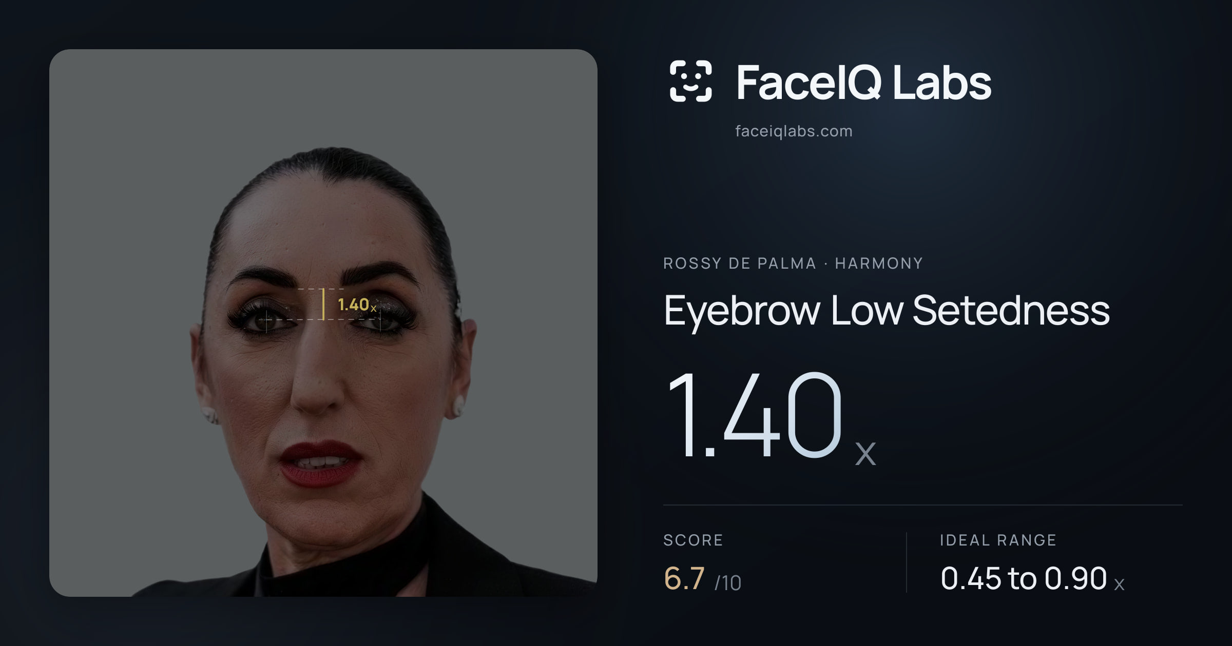 Rossy De Palma Eyebrow Low Setedness: 1.40x, drawn on the photo