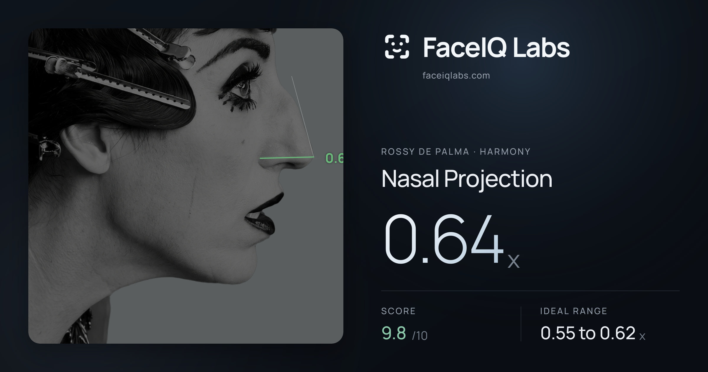 Rossy De Palma Nasal Projection: 0.64x, drawn on the photo