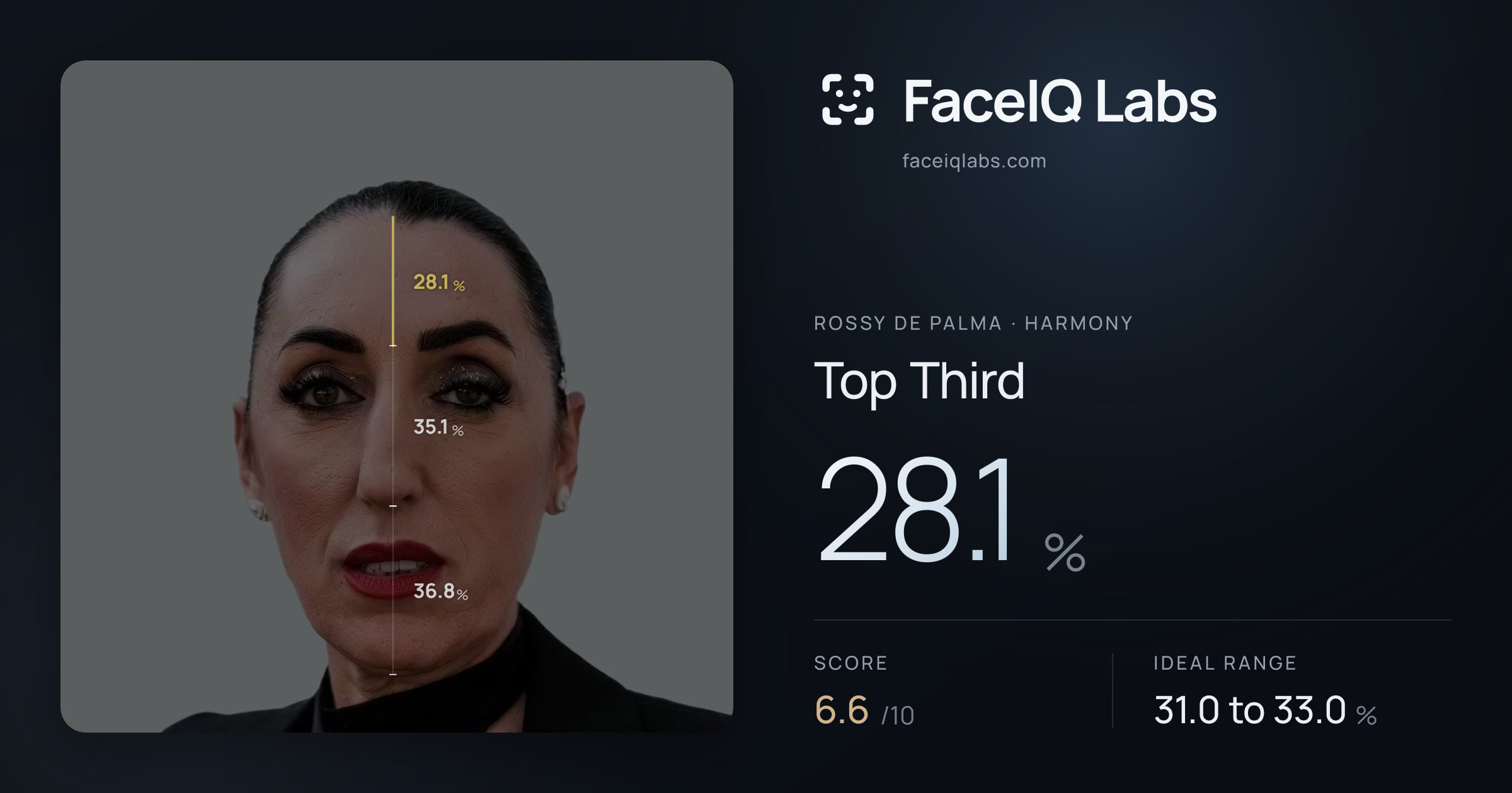 Rossy De Palma Top Third: 28.1%, drawn on the photo