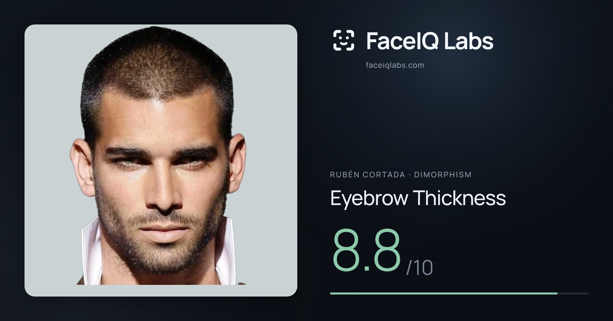 Rubén Cortada Eyebrow Thickness: 8.8/10, drawn on the photo