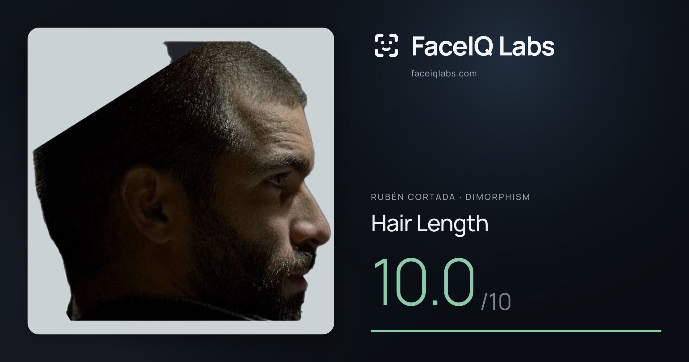 Rubén Cortada Hair Length: 10.0/10, drawn on the photo