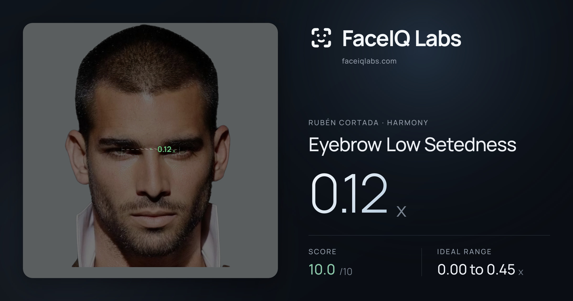 Rubén Cortada Eyebrow Low Setedness: 0.12x, drawn on the photo