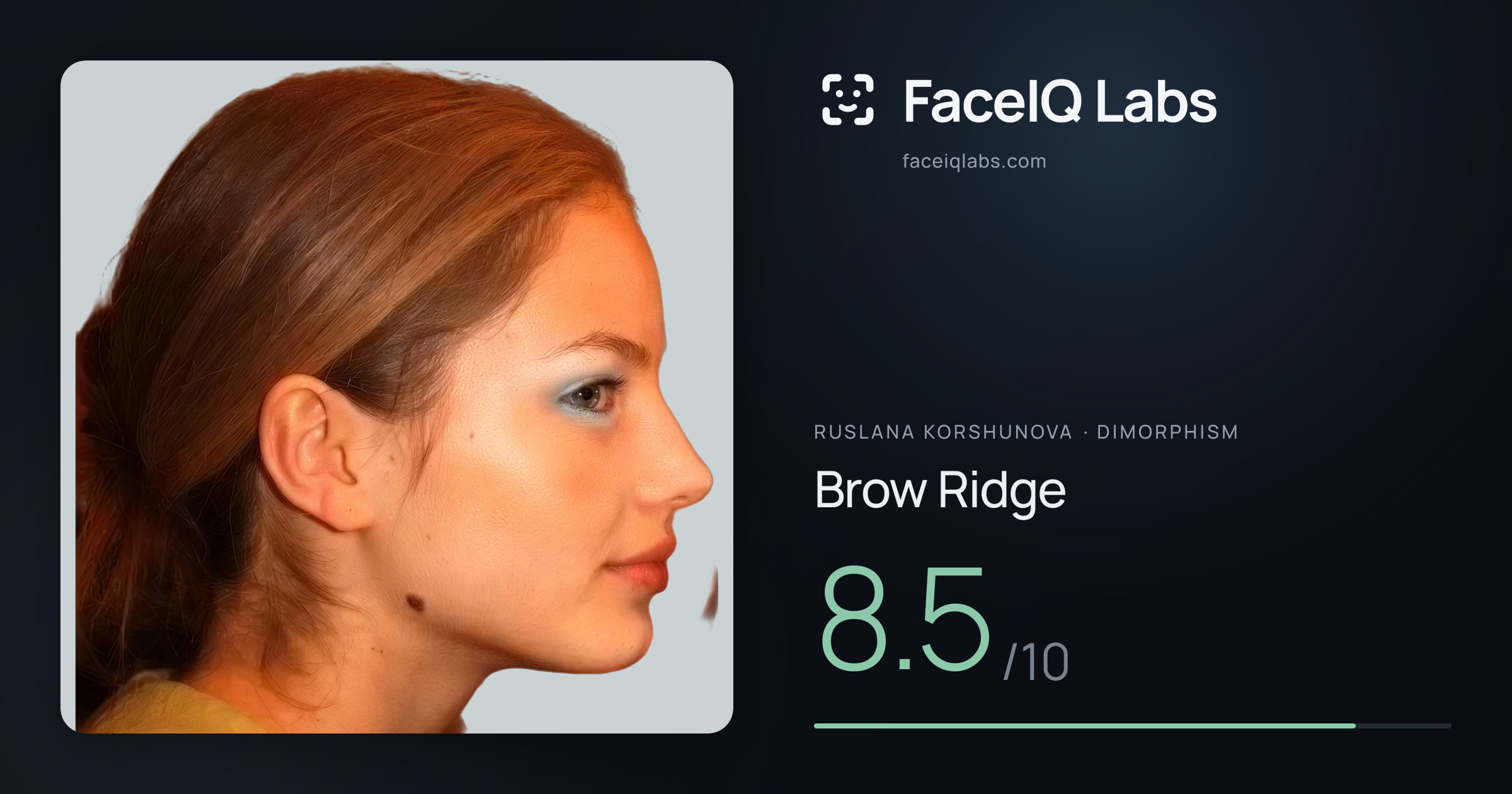 Ruslana Korshunova Brow Ridge: 8.5/10, drawn on the photo